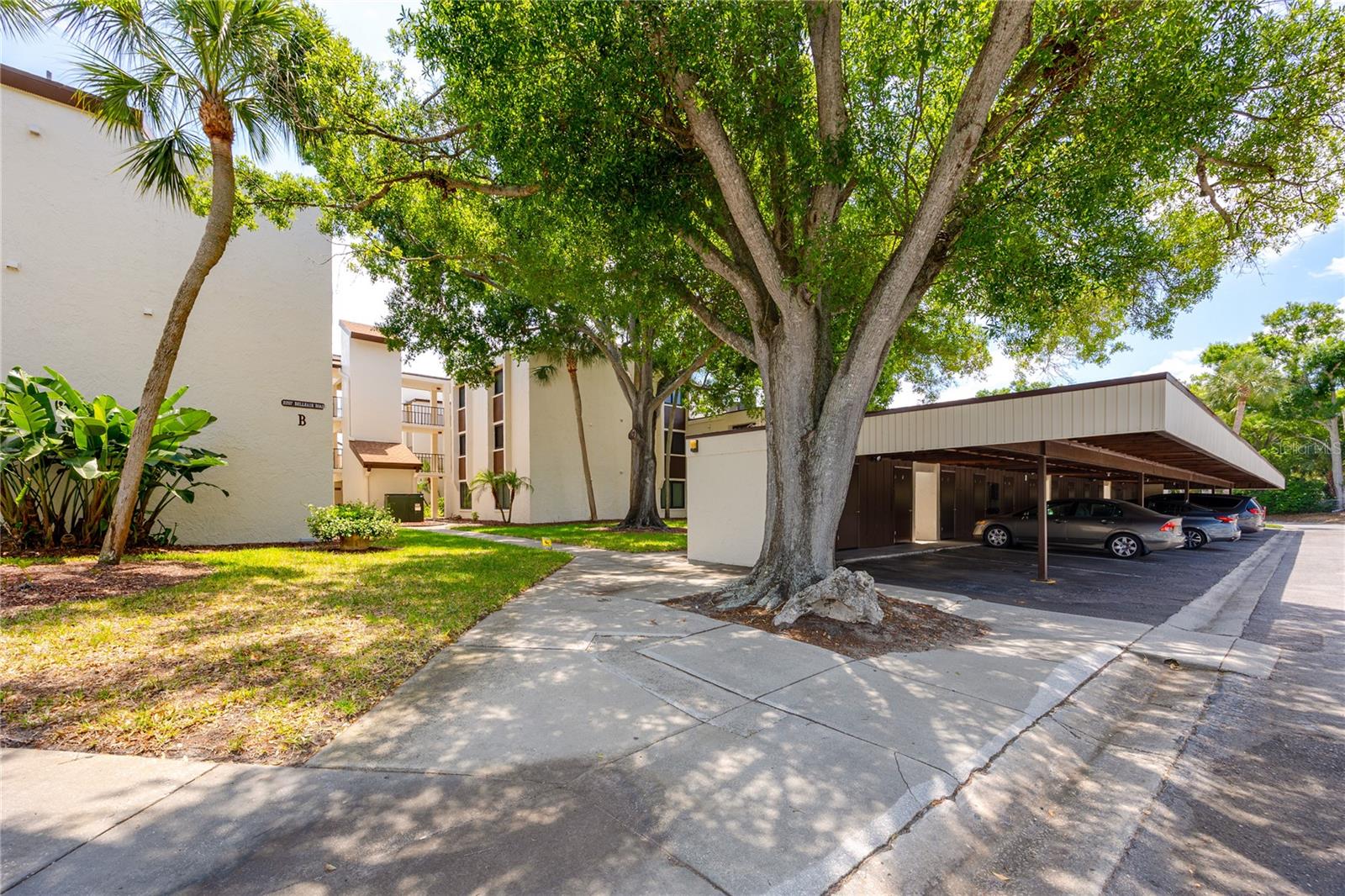 Image 34 of 39 For 2207 Belleair Road B30