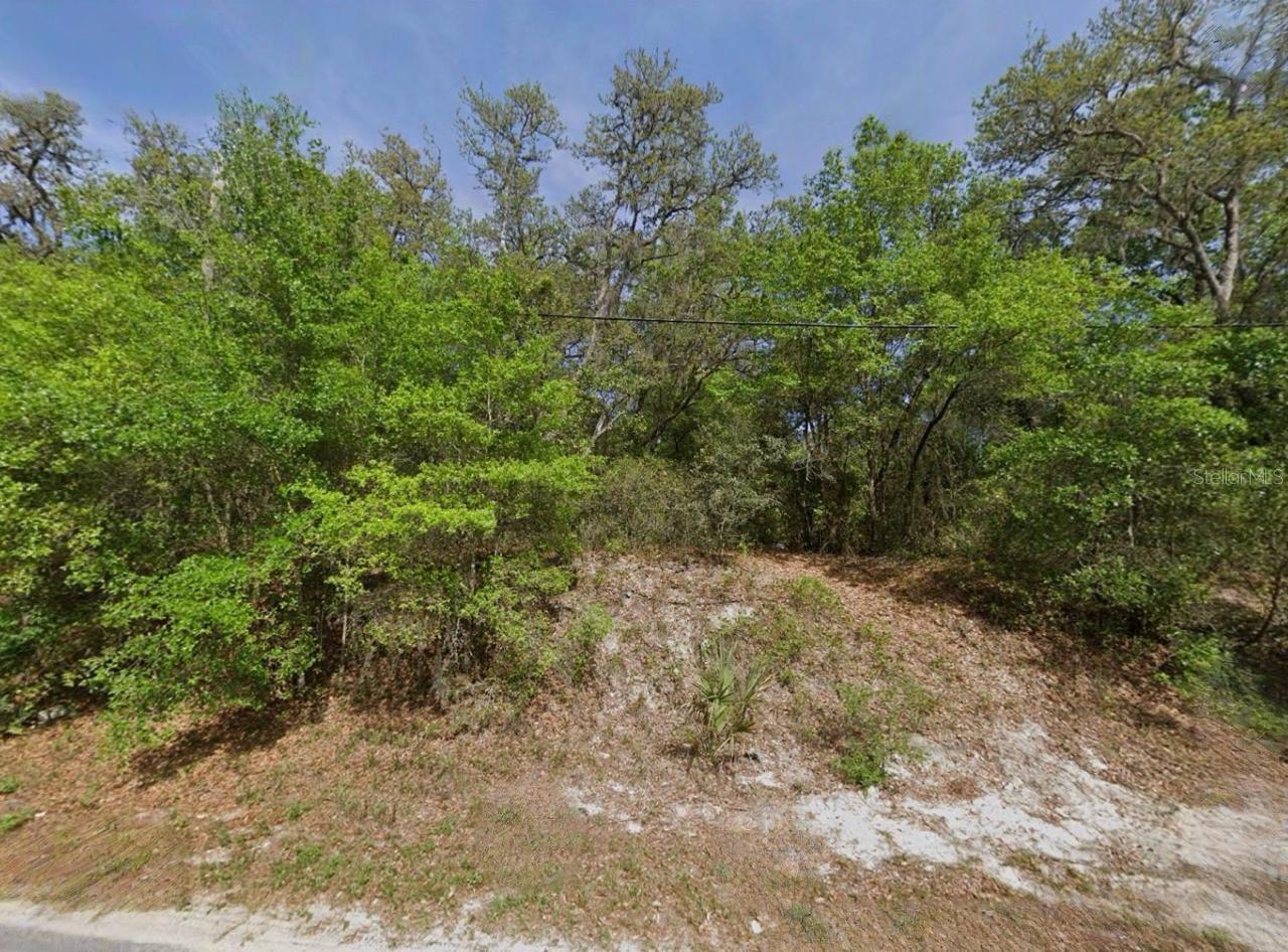 Image 2 of 2 For Broward Avenue