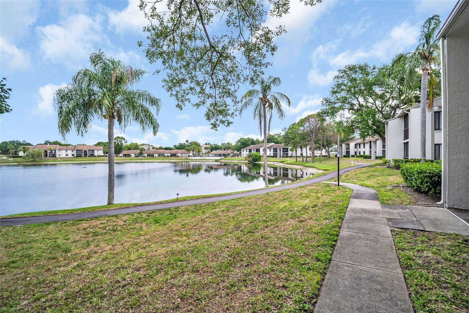Image 2 of 29 For 2523 Pine Ridge Way S C2