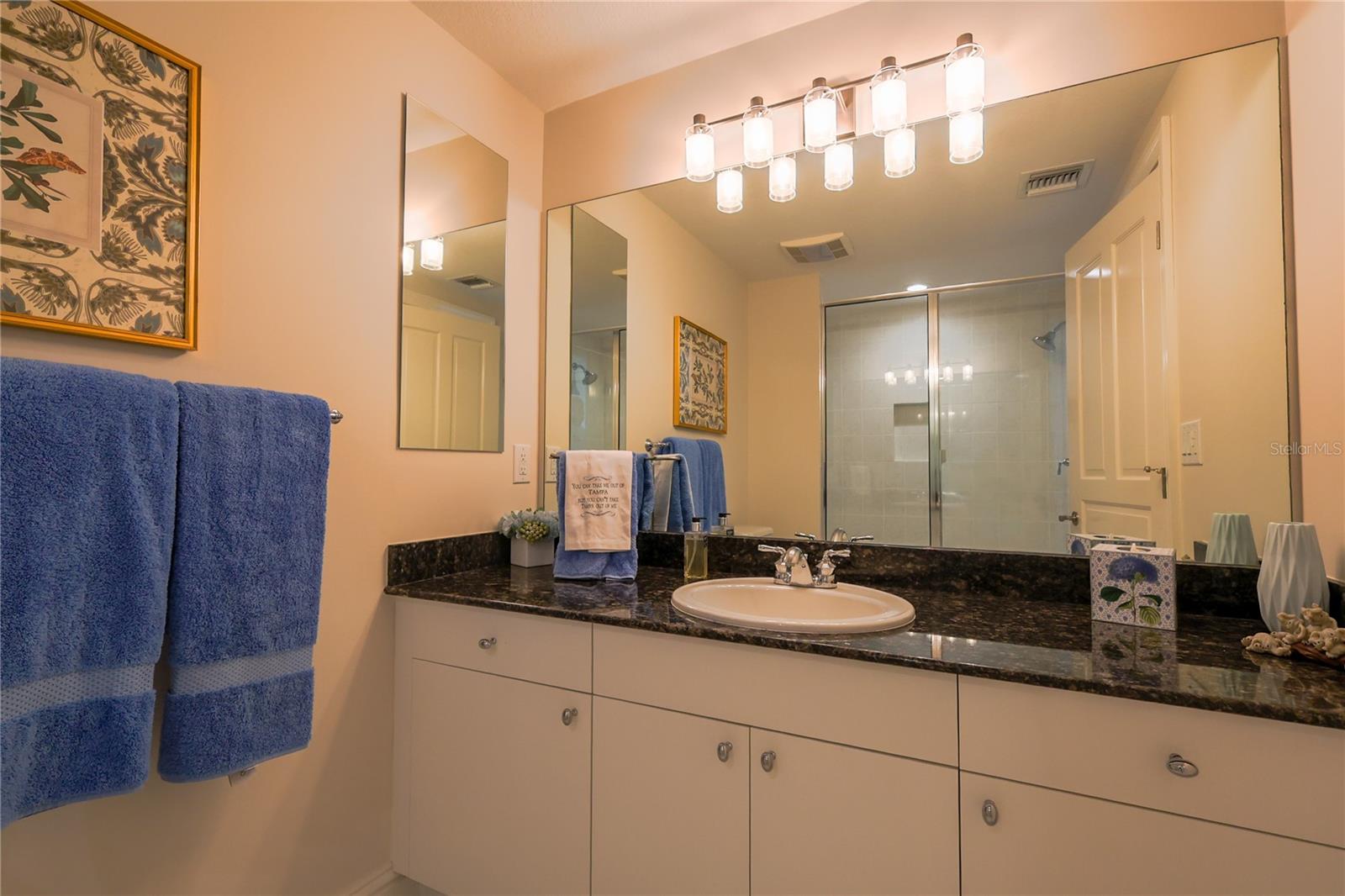 Image 16 of 42 For 3507 Bayshore Boulevard 701