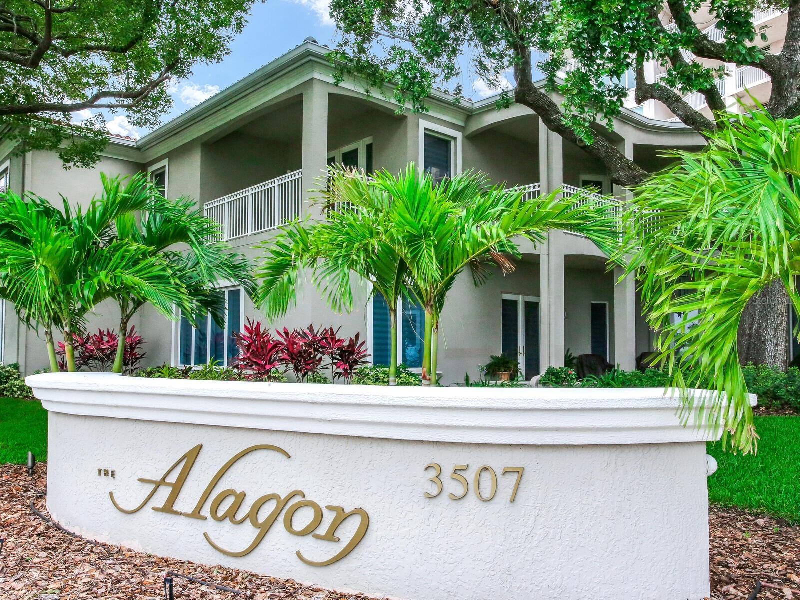 Image 2 of 42 For 3507 Bayshore Boulevard 701