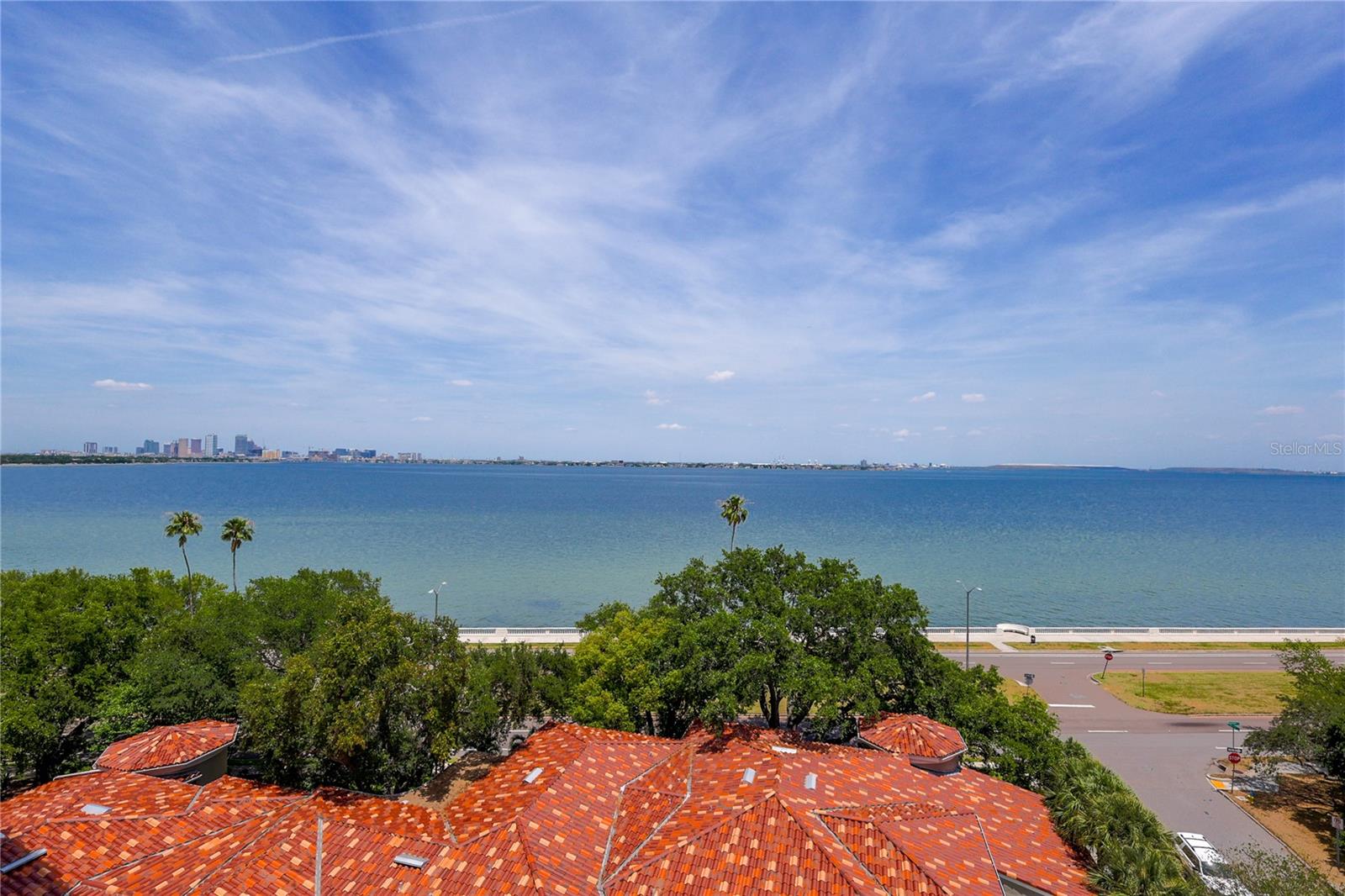 Image 24 of 42 For 3507 Bayshore Boulevard 701
