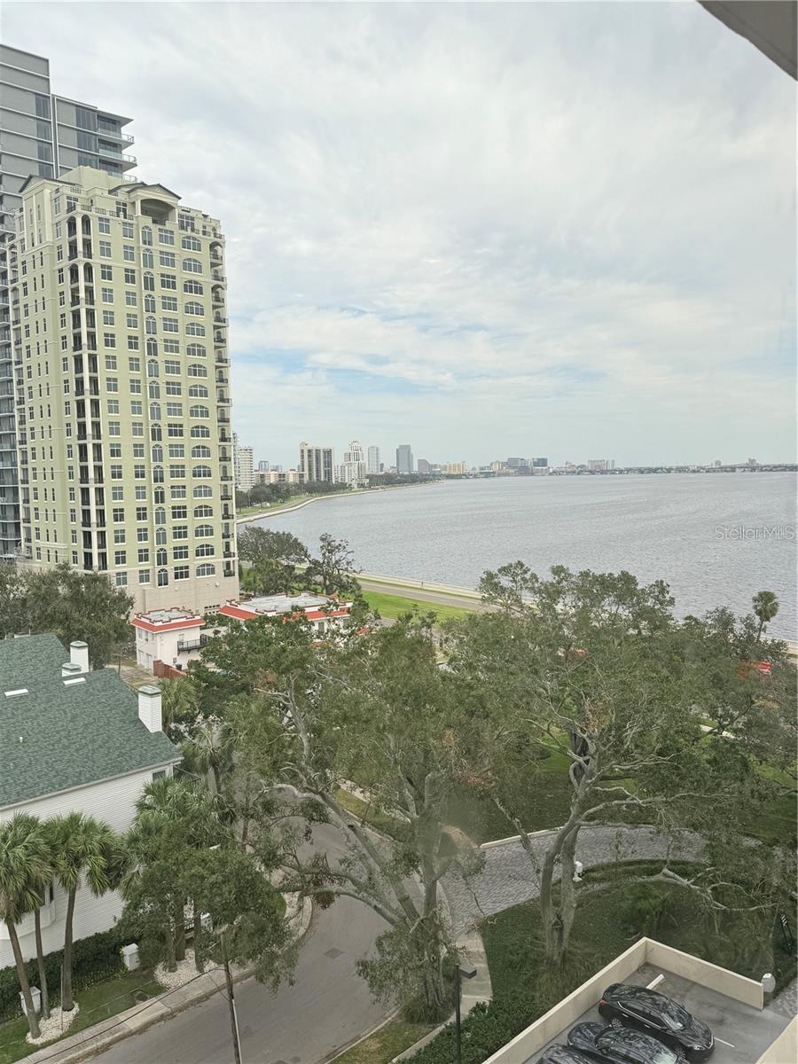 Image 5 of 34 For 3301 Bayshore Boulevard 1001e