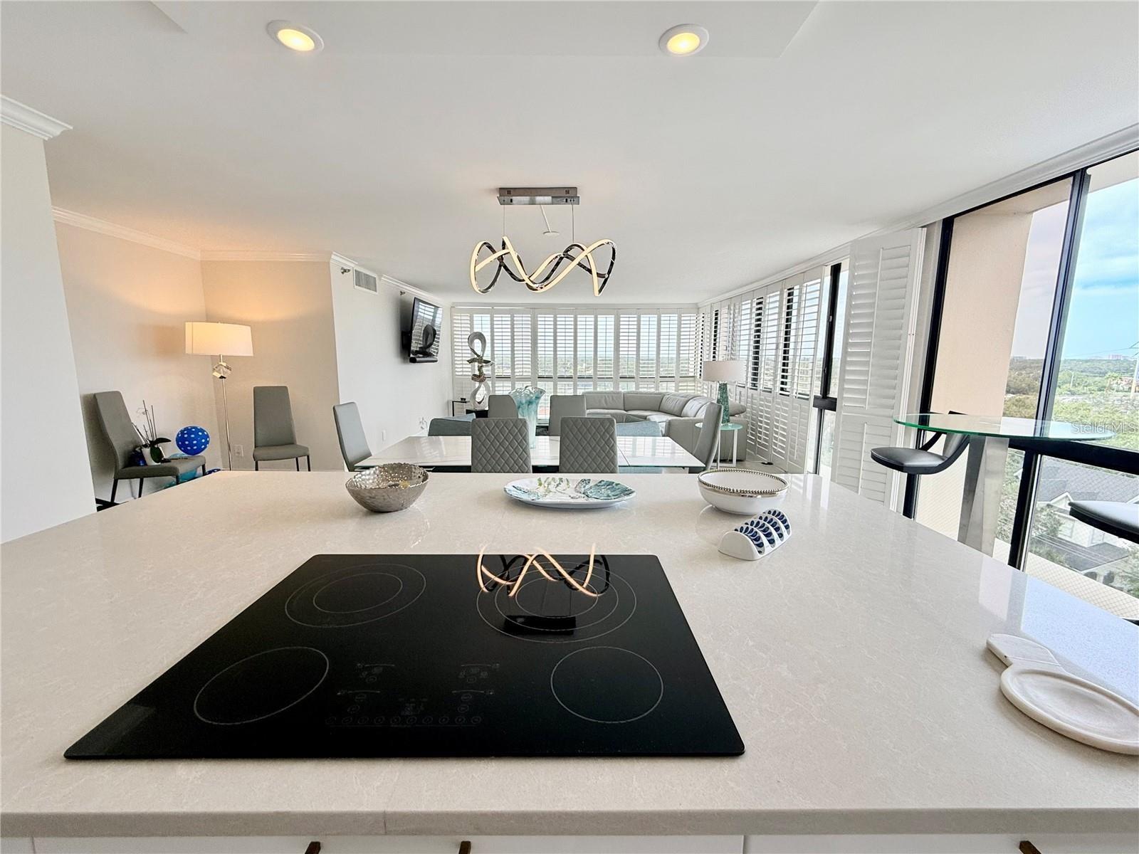 Image 9 of 34 For 3301 Bayshore Boulevard 1001e