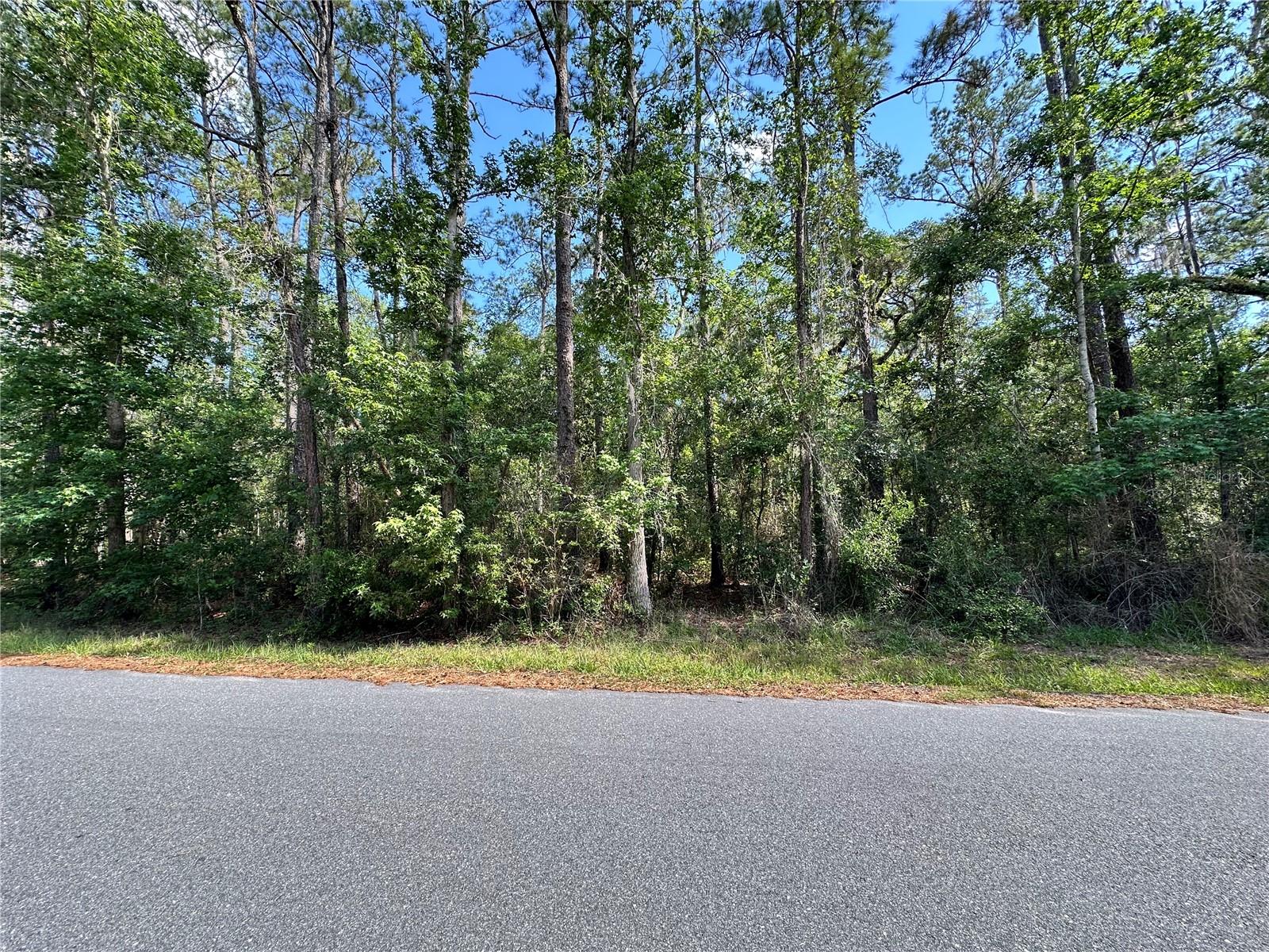 Details for Skyview Circle, BROOKSVILLE, FL 34602