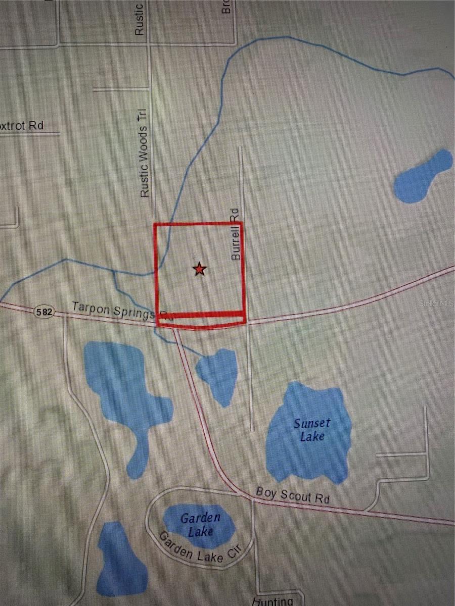 Listing photo id 1 for 11819 Tarpon Springs Road