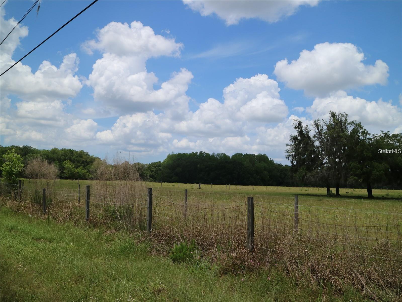 Listing photo id 2 for 11819 Tarpon Springs Road