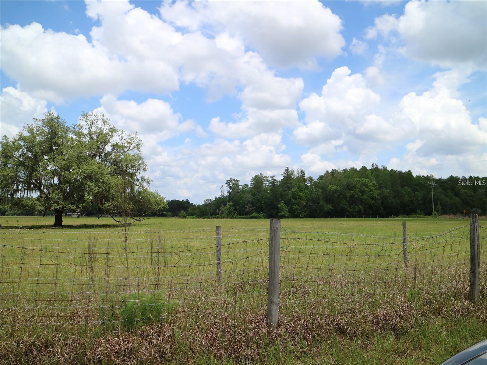 Listing photo id 4 for 11819 Tarpon Springs Road