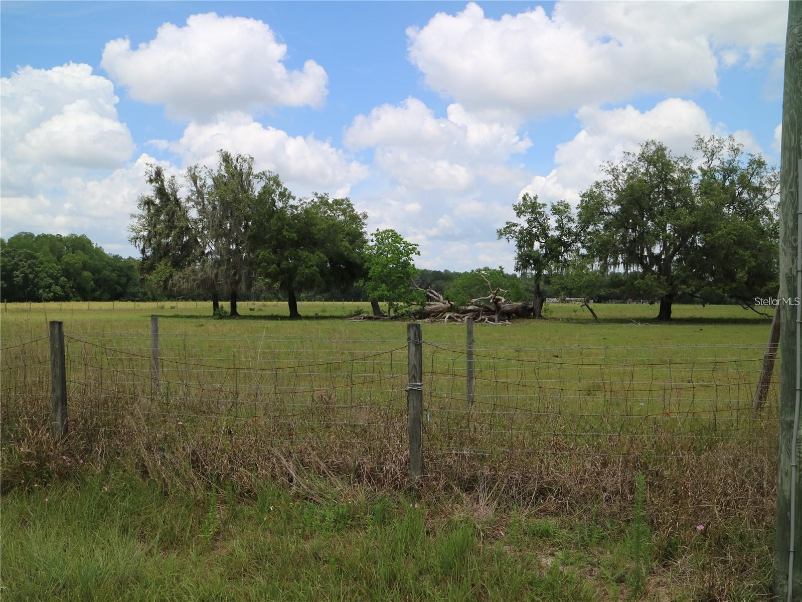 Listing photo id 7 for 11819 Tarpon Springs Road