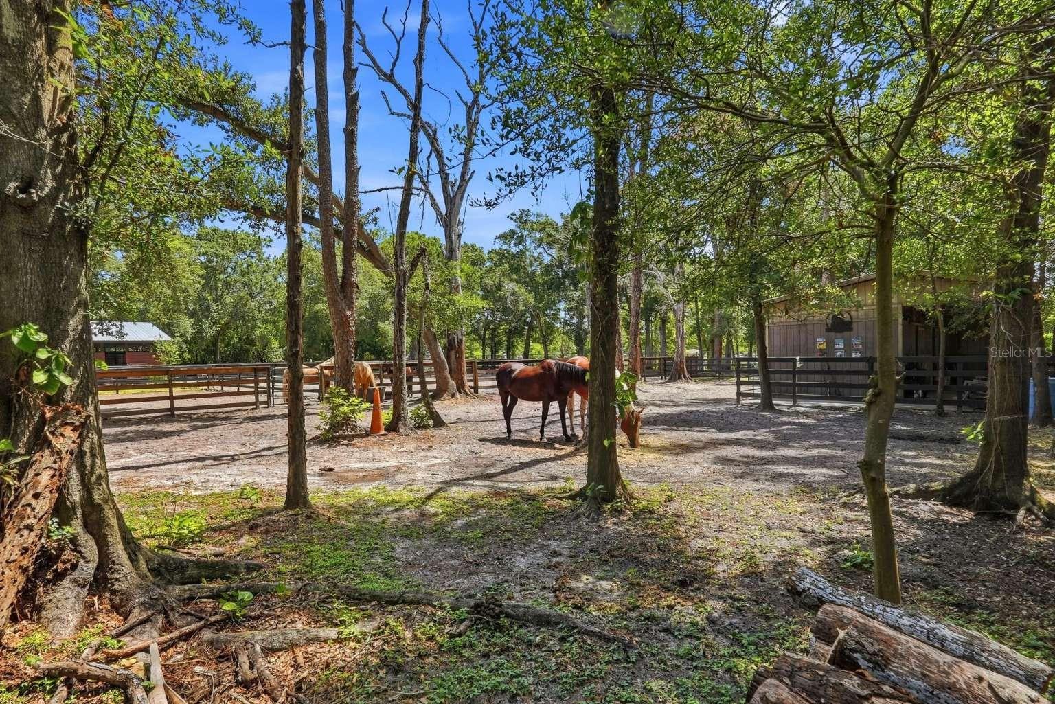 Listing photo id 34 for 6301 86th Avenue