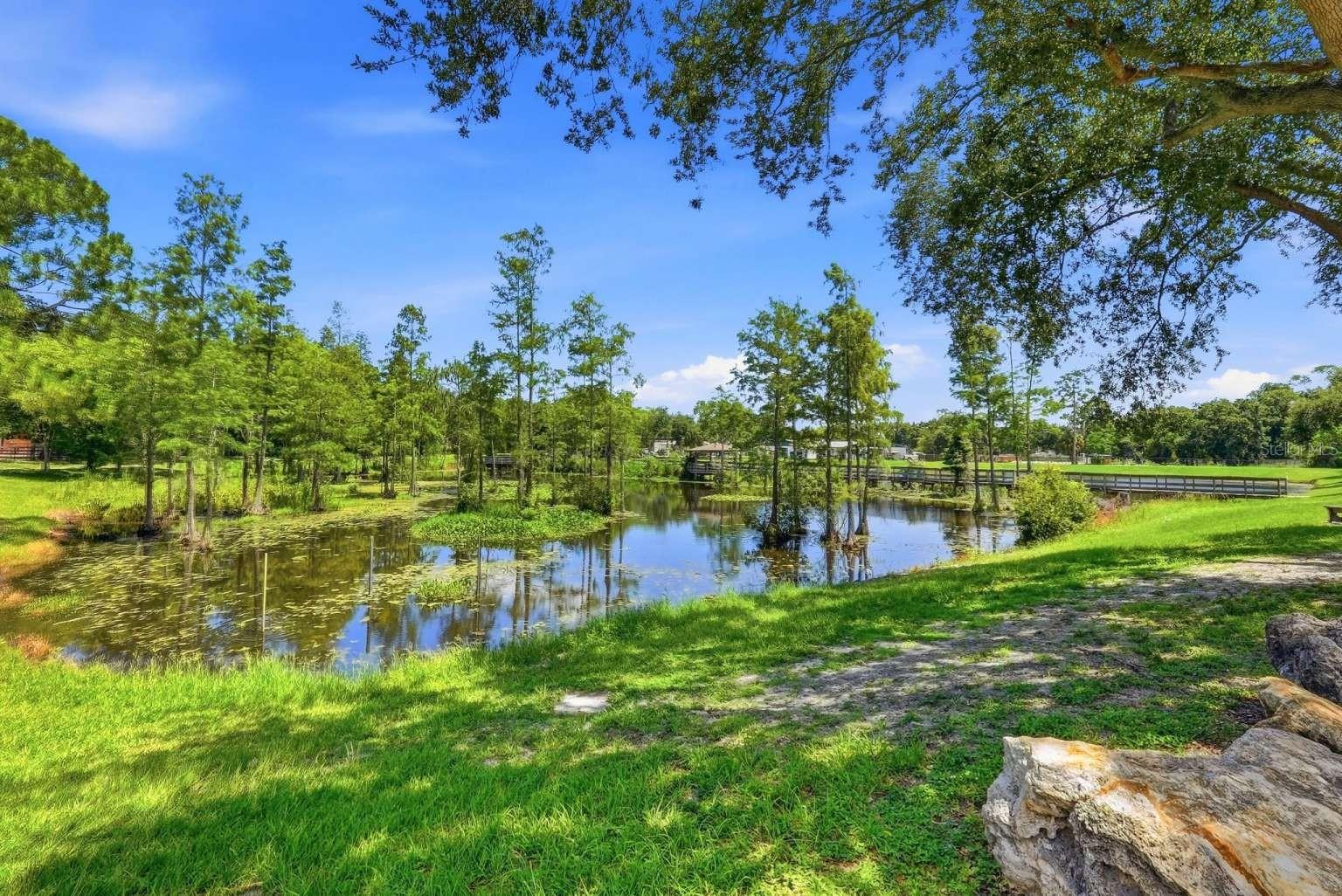 Listing photo id 37 for 6301 86th Avenue