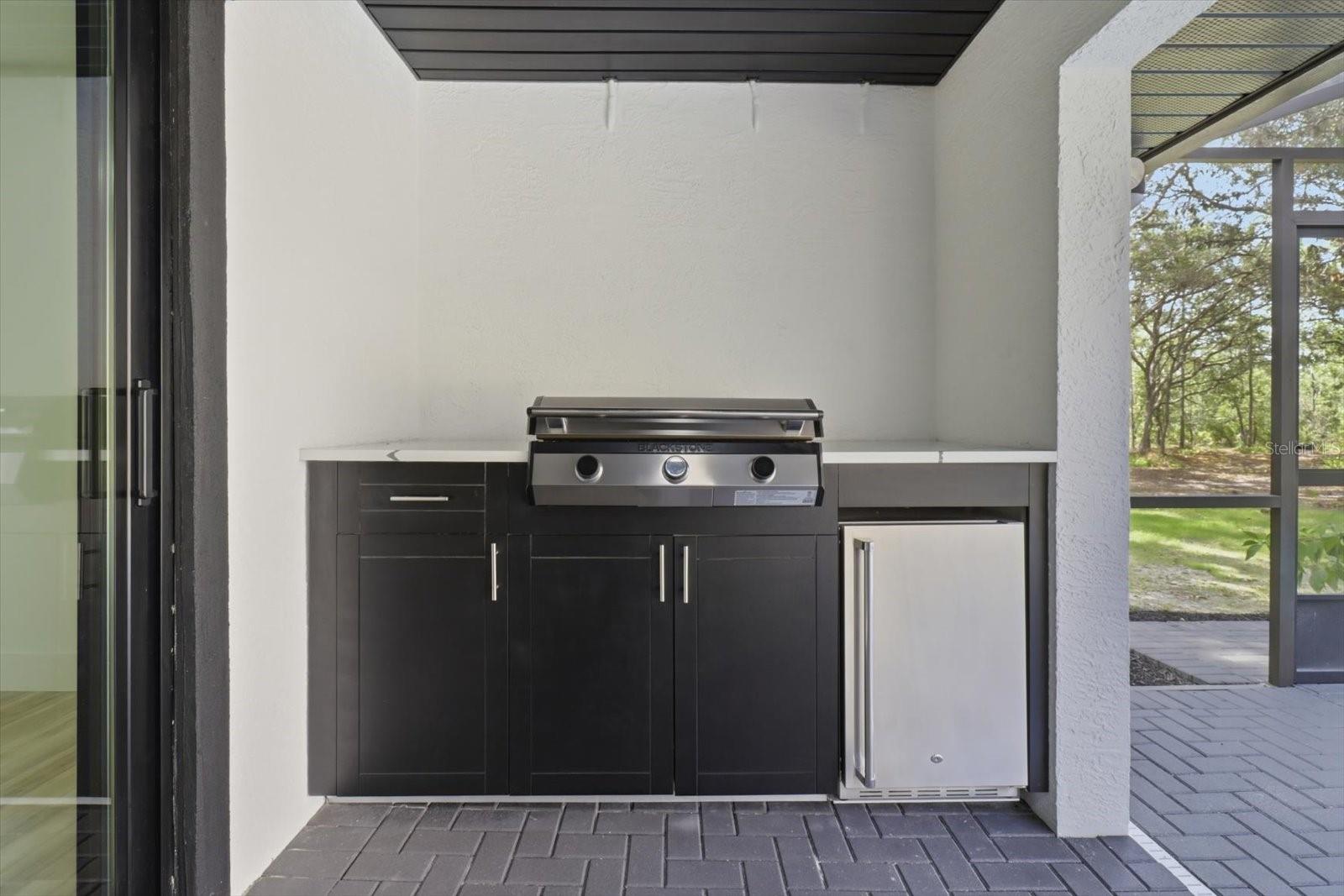 Listing photo id 27 for 2995 N Bravo Drive
