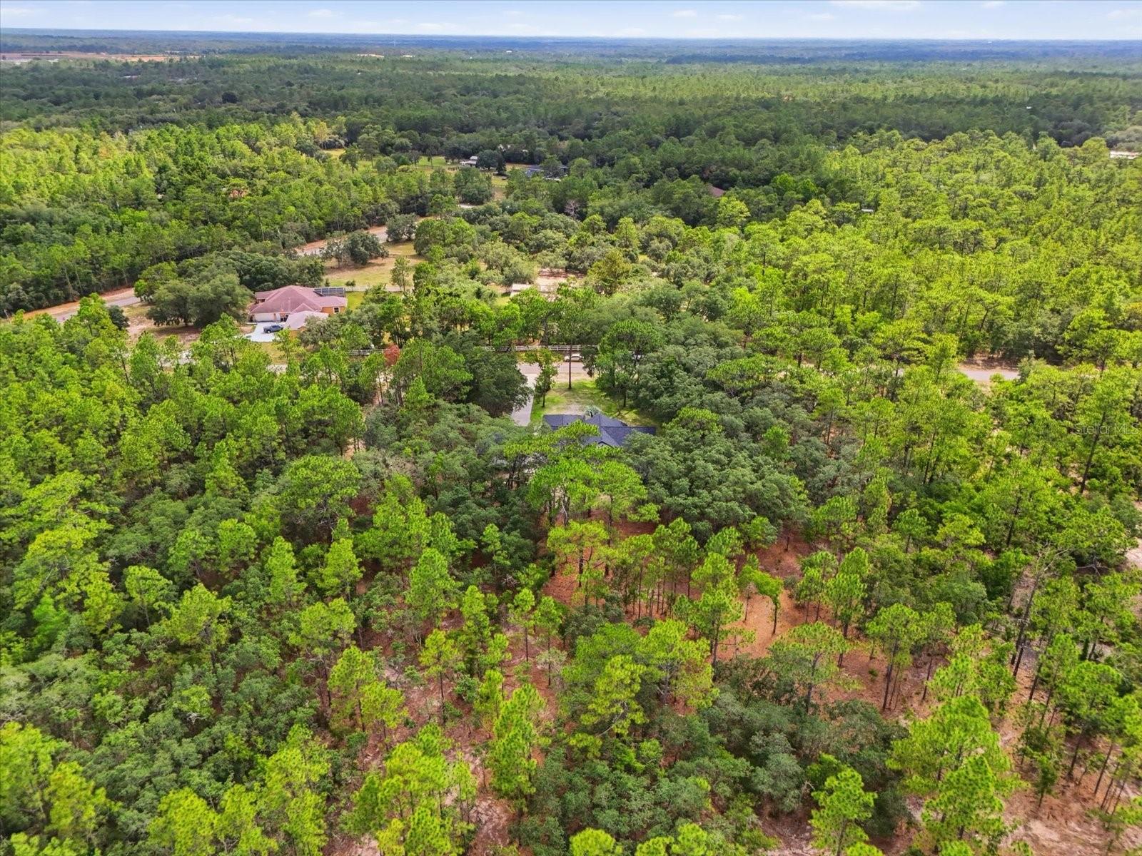 Listing photo id 41 for 2995 N Bravo Drive