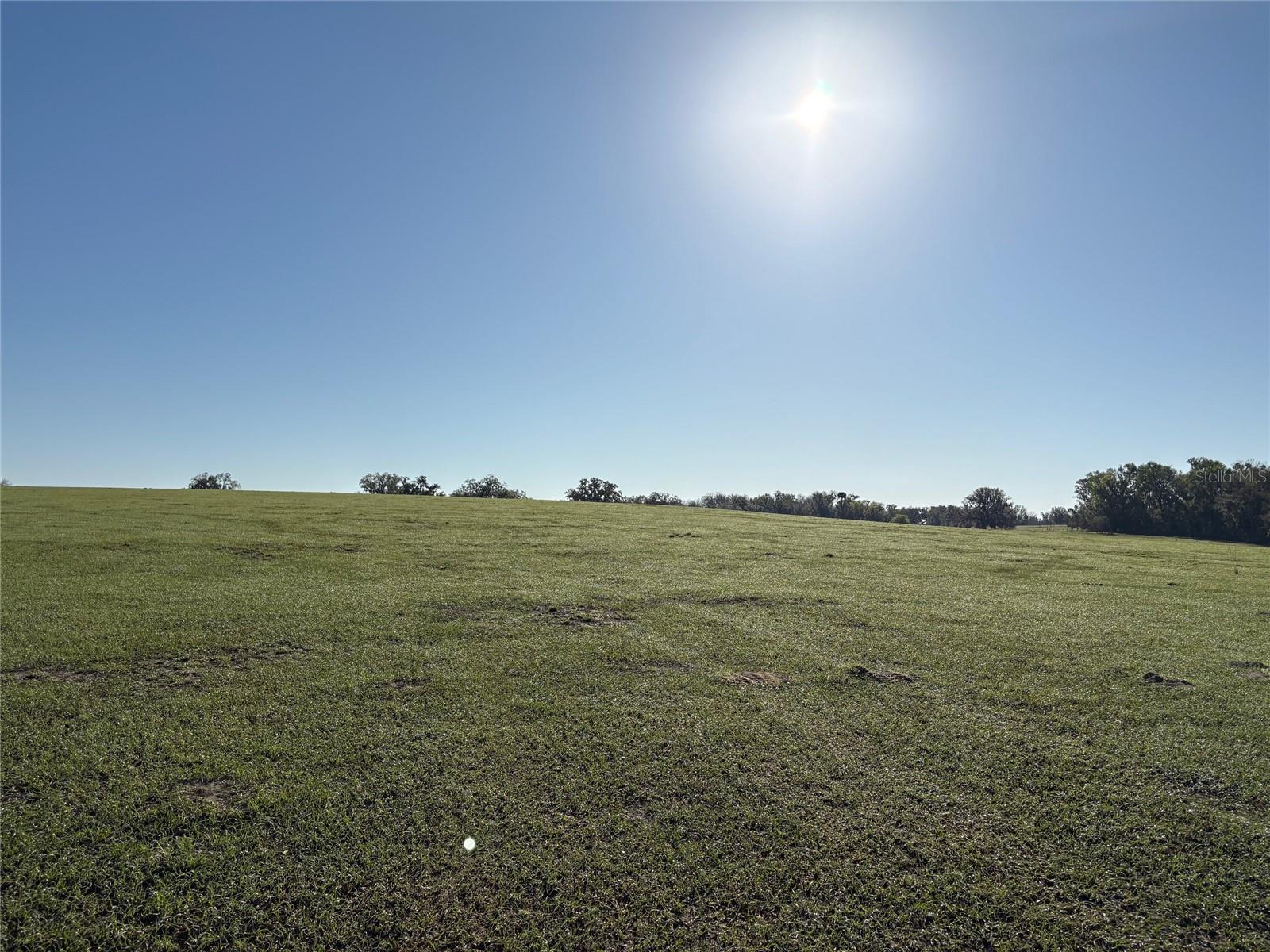 Details for 0 Citrus Way (ne Corner Of Citrus Way A, BROOKSVILLE, FL 34601