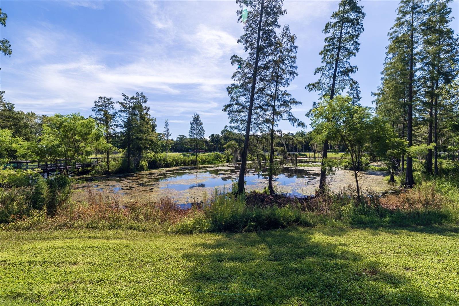 Listing photo id 98 for 8701 64th Street