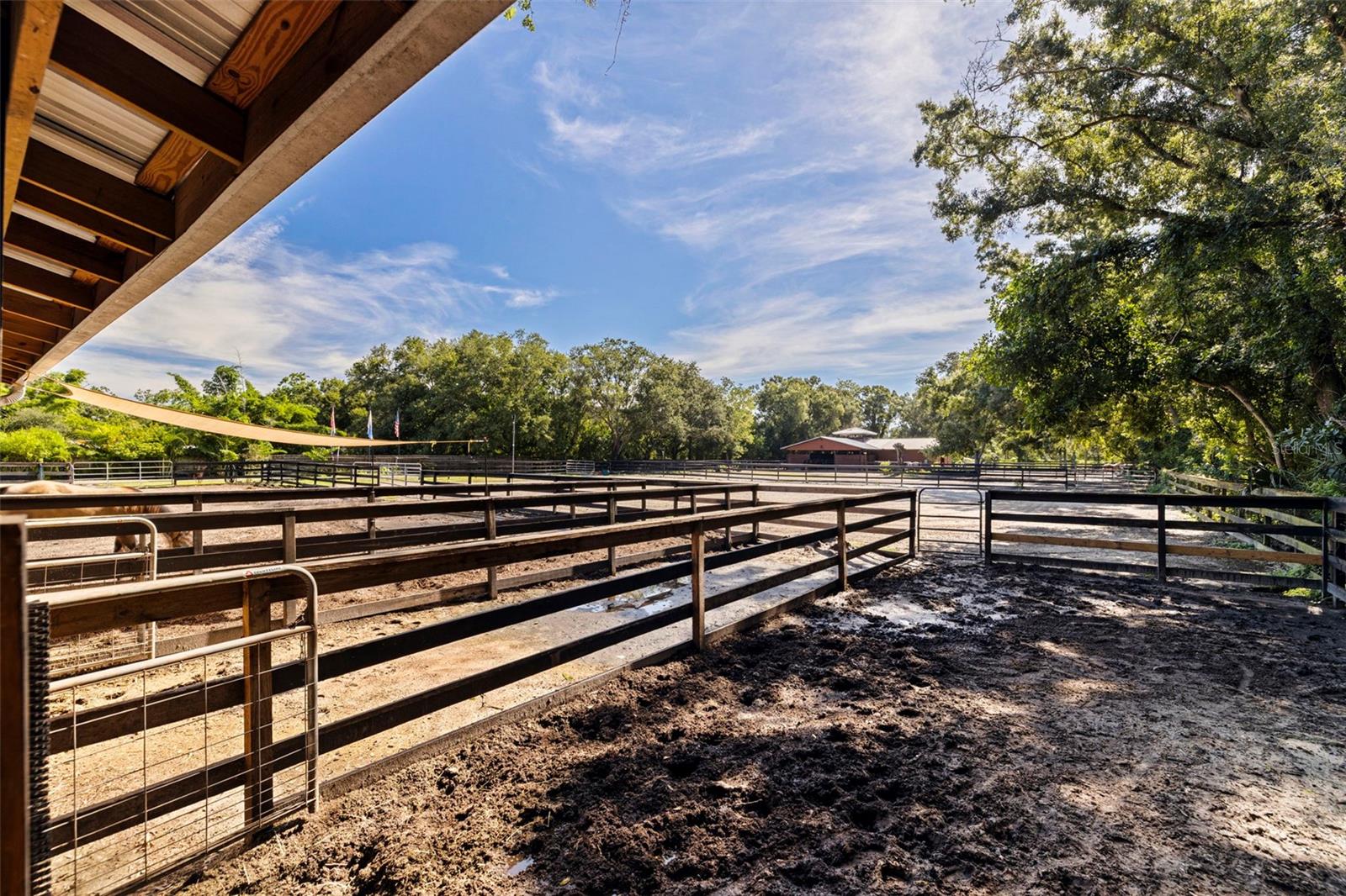Listing photo id 64 for 8701 64th Street