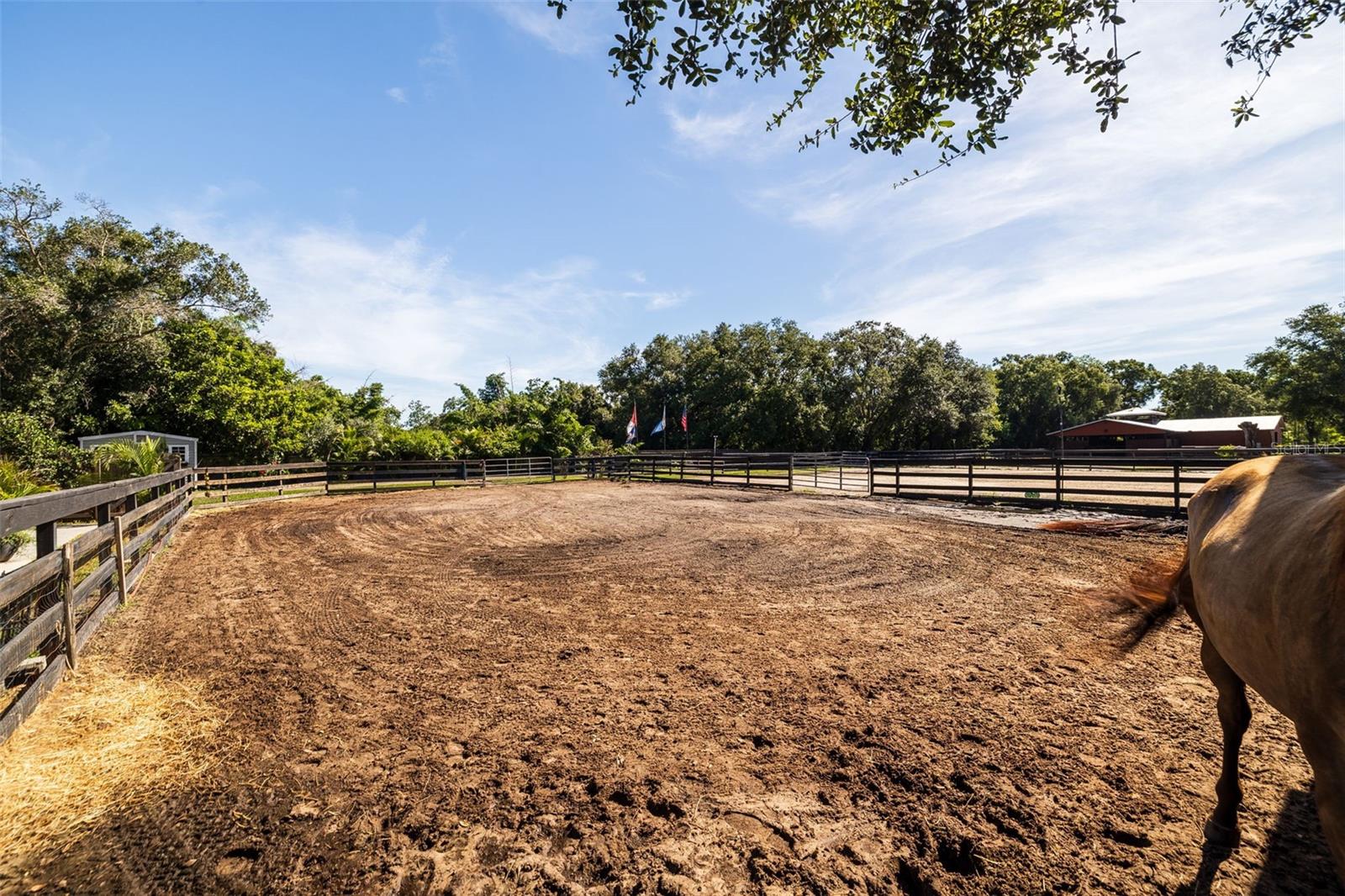 Listing photo id 65 for 8701 64th Street