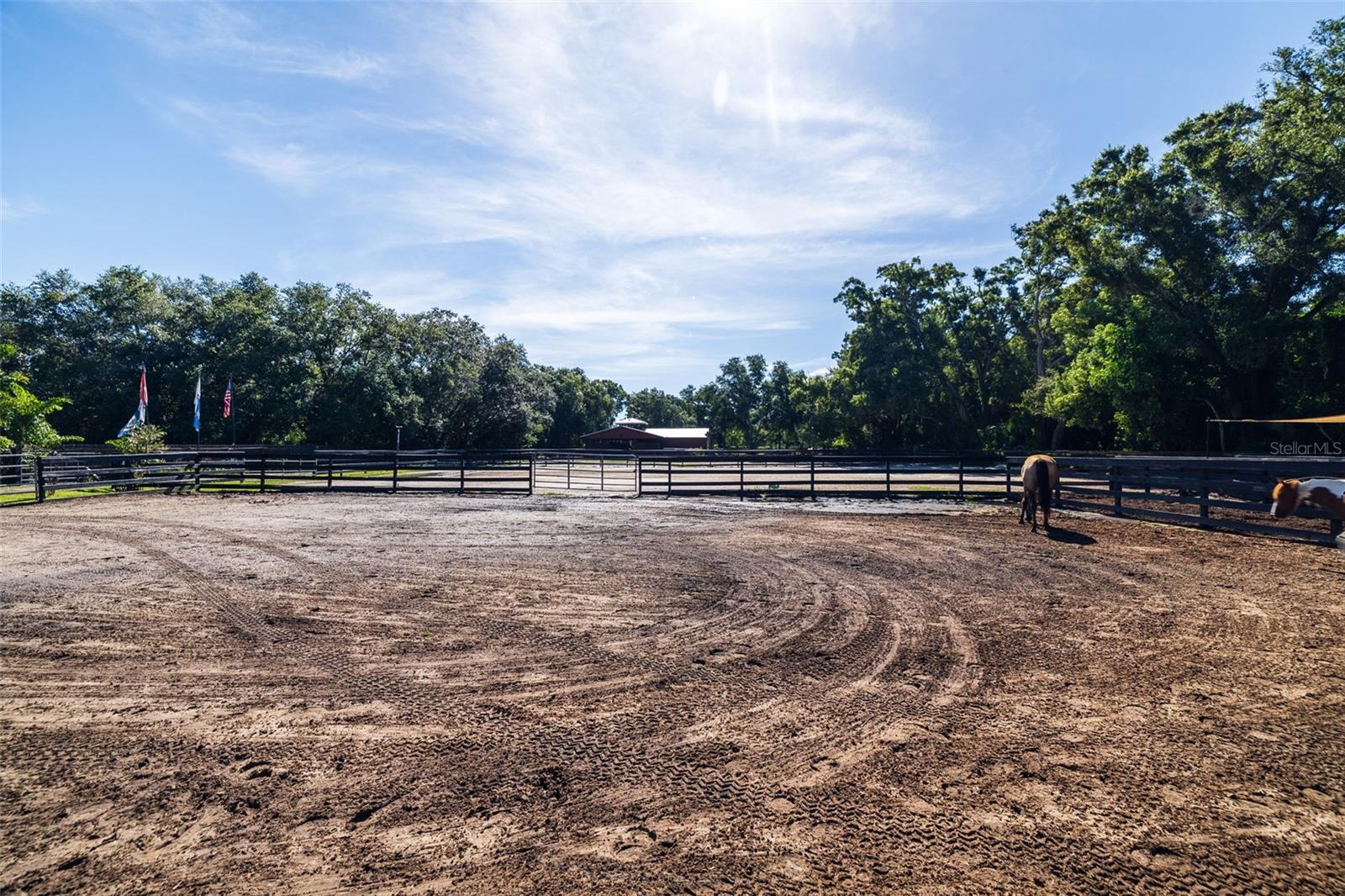 Listing photo id 66 for 8701 64th Street