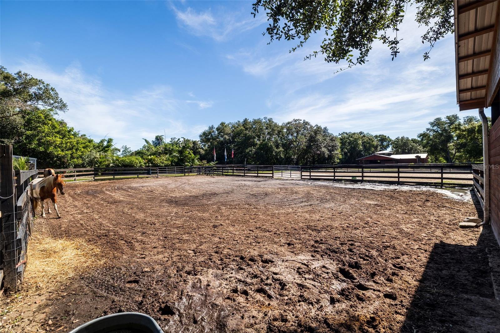 Listing photo id 67 for 8701 64th Street