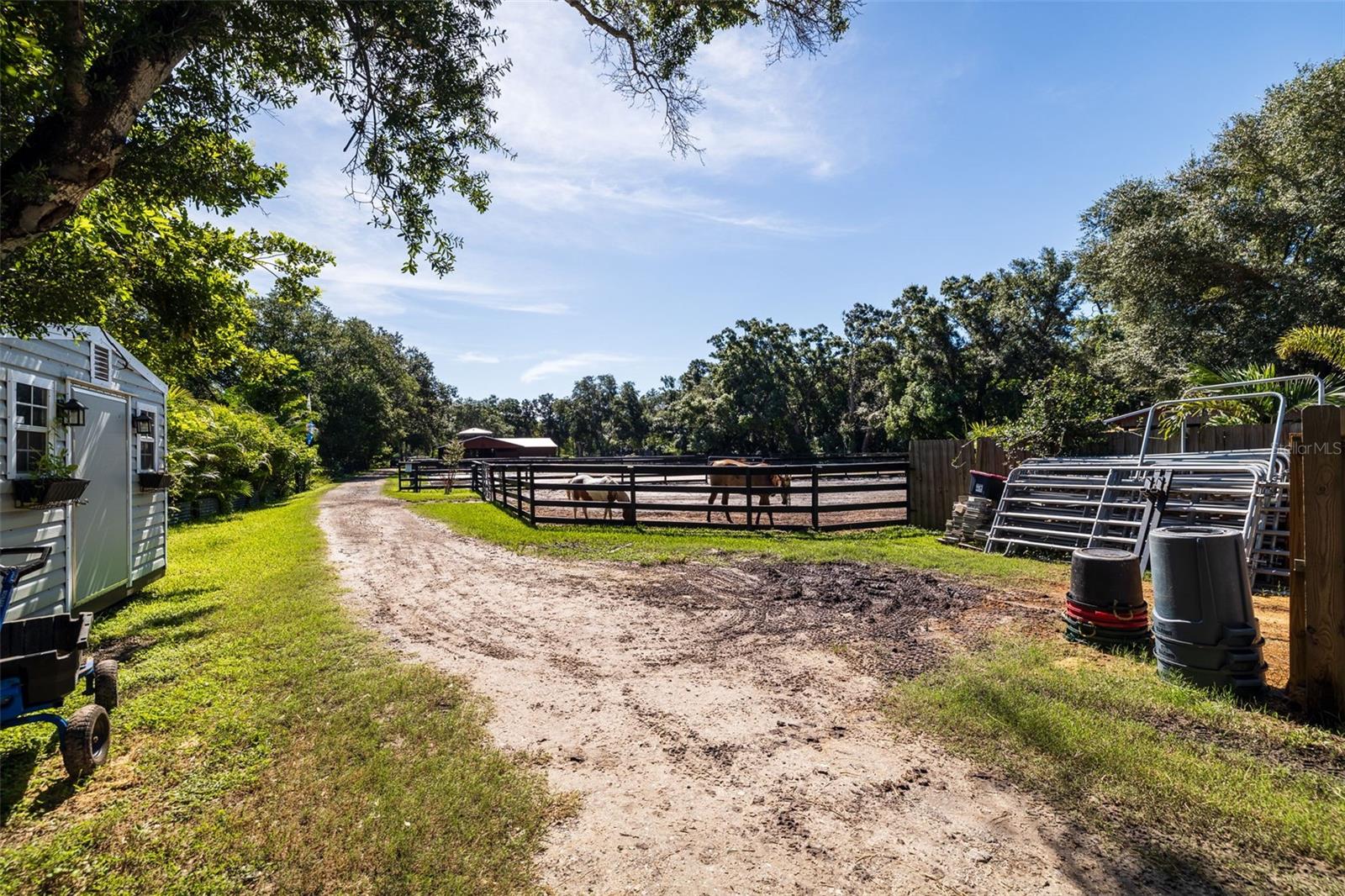 Listing photo id 68 for 8701 64th Street