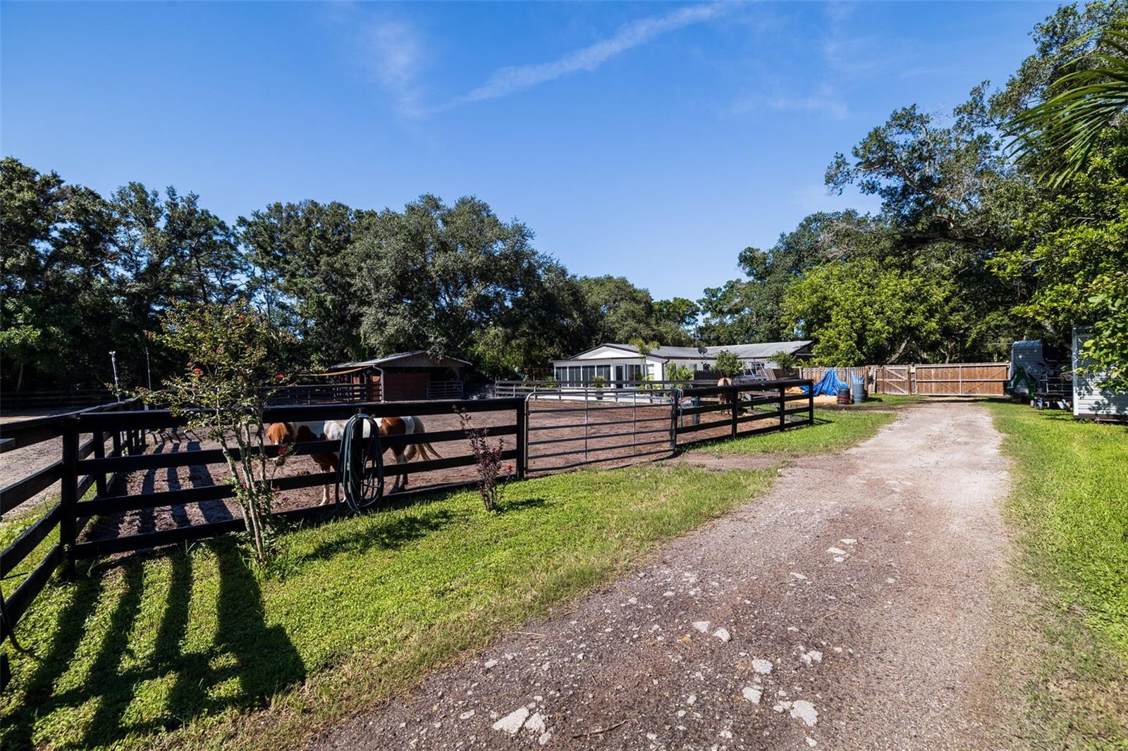 Listing photo id 70 for 8701 64th Street