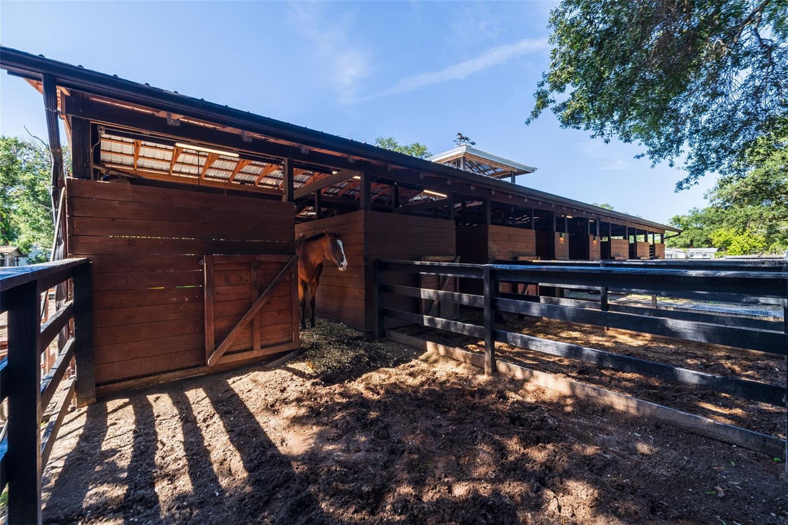 Listing photo id 81 for 8701 64th Street