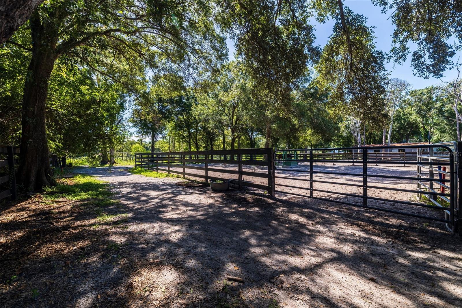 Listing photo id 96 for 8701 64th Street