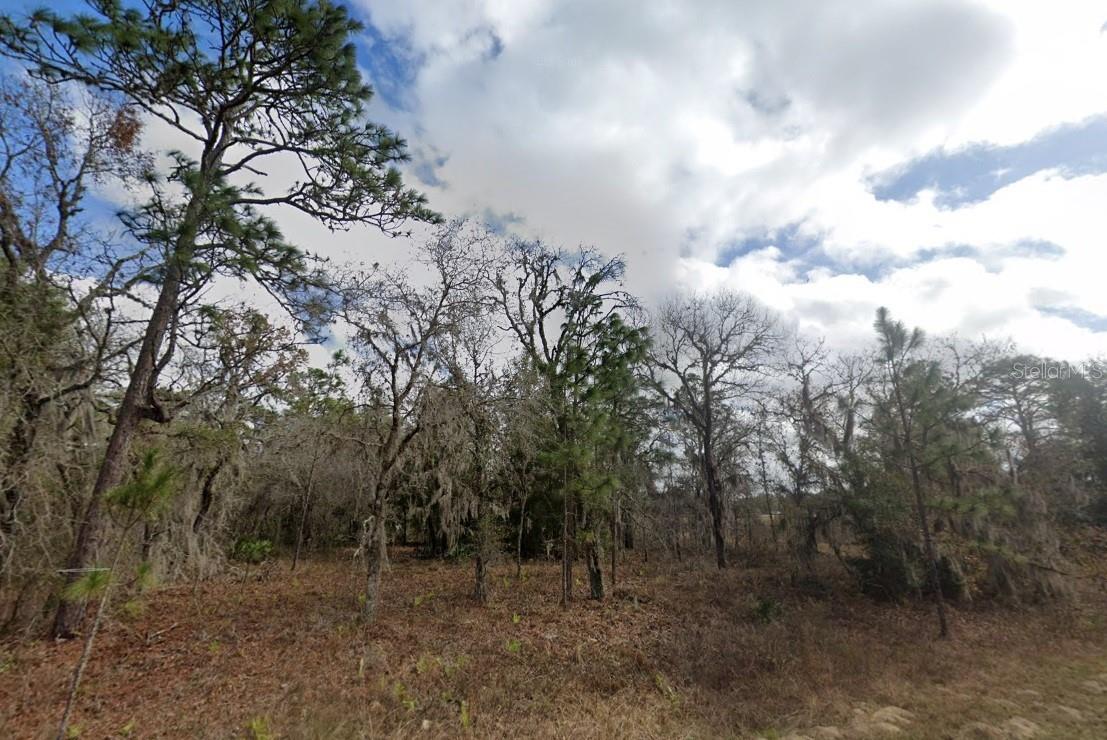 Details for  Crider Road , WEEKI WACHEE, FL 34614
