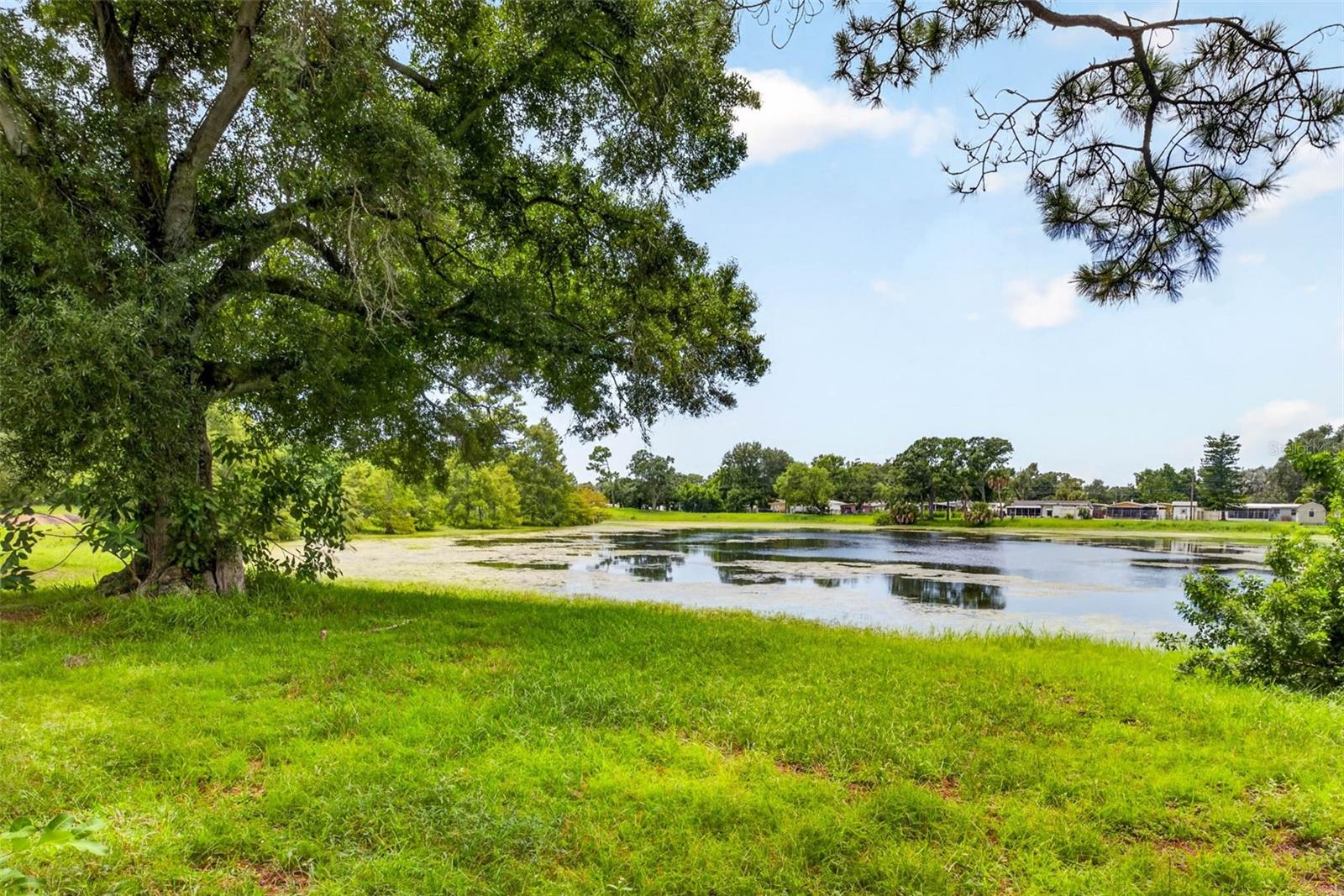 Listing photo id 9 for 6320 66th Avenue