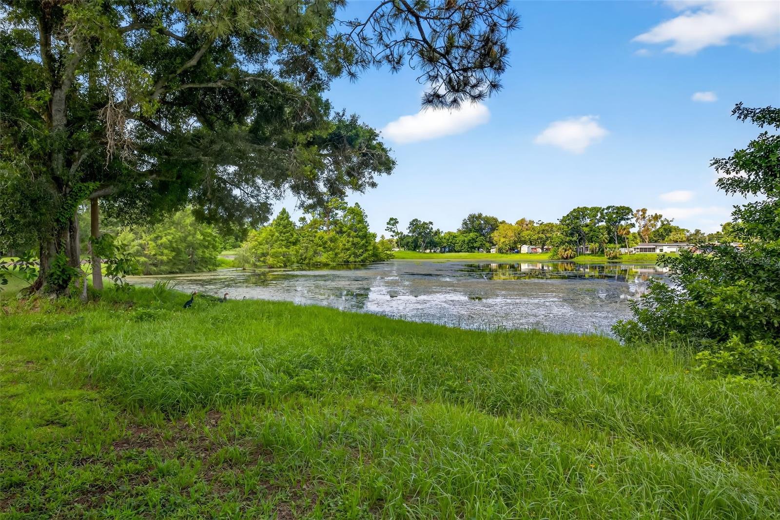 Listing photo id 41 for 6320 66th Avenue