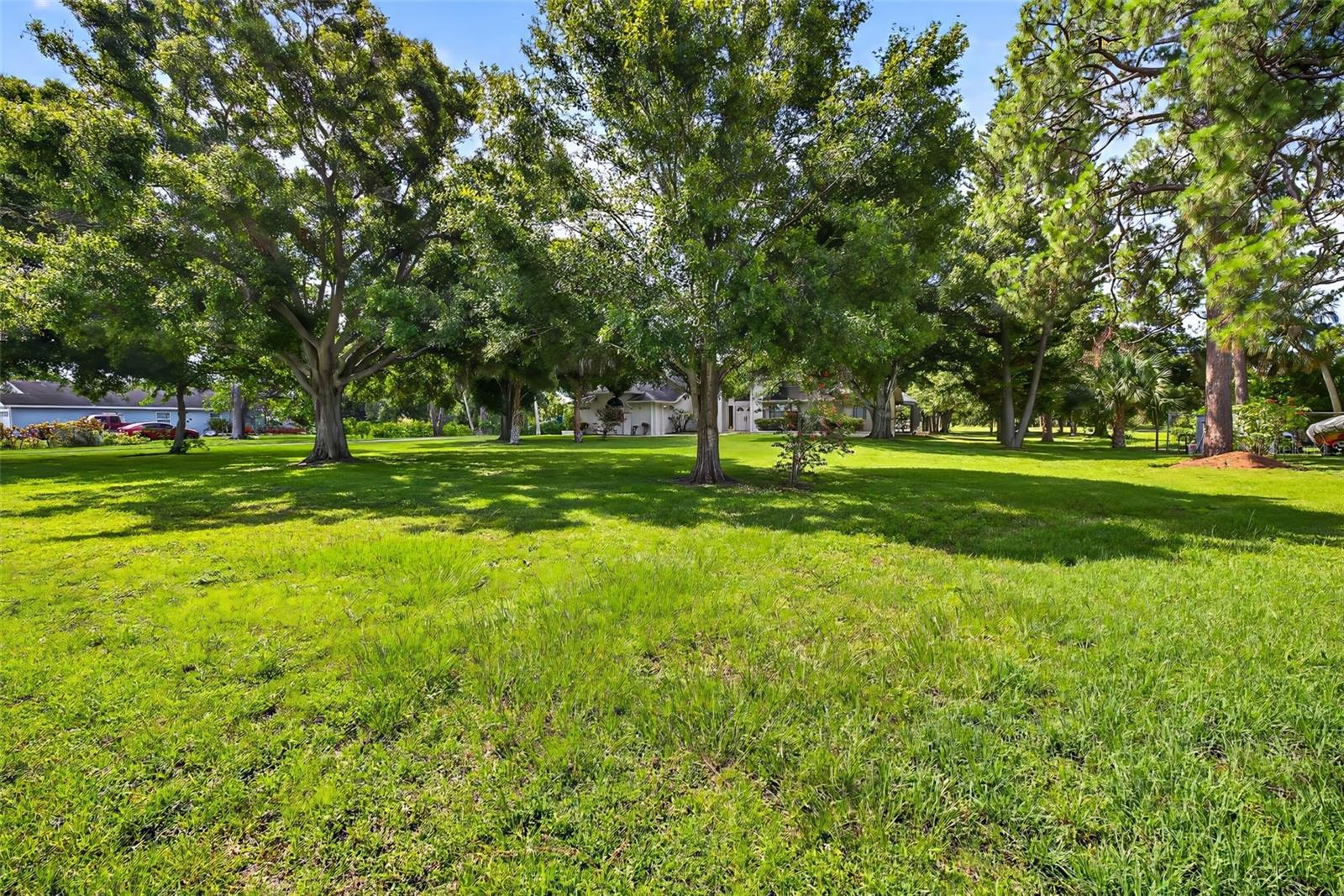 Listing photo id 51 for 6320 66th Avenue