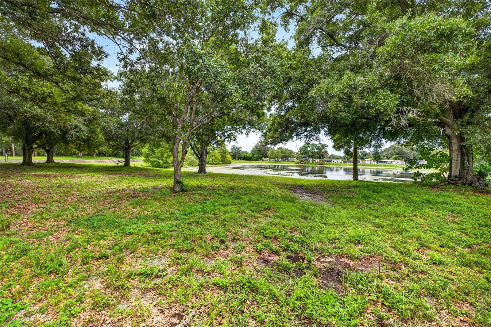 Listing photo id 5 for 6320 66th Avenue
