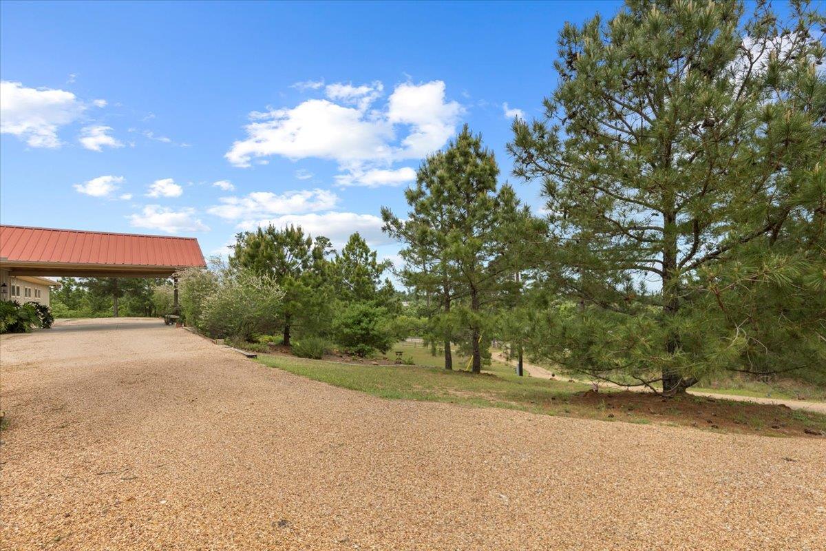 Image 6 of 40 For 178 Pine Tree Loop