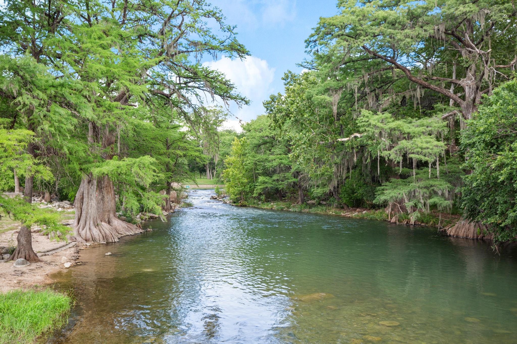 Image 28 of 32 For 1015 Lime Gruene