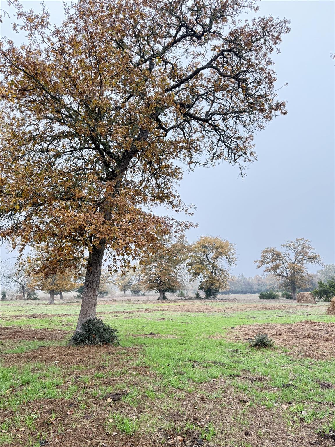 Image 10 of 33 For 11791 Silver Springs Rd