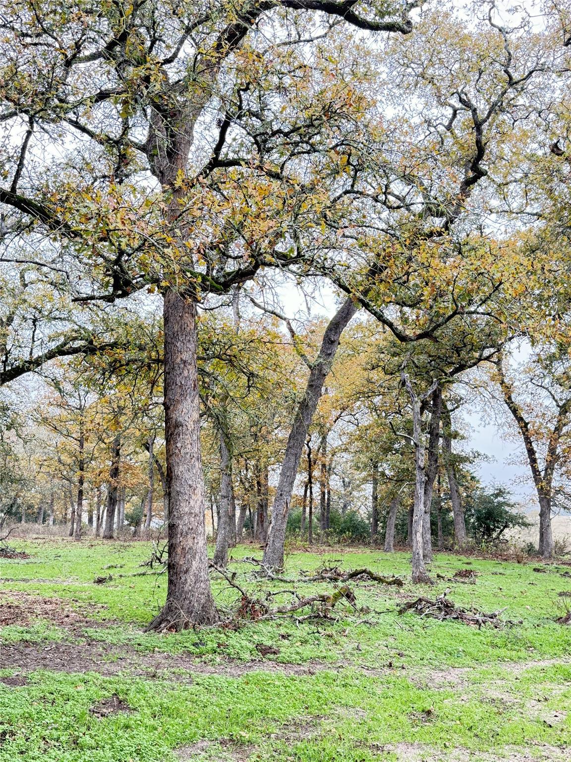 Image 11 of 33 For 11791 Silver Springs Rd