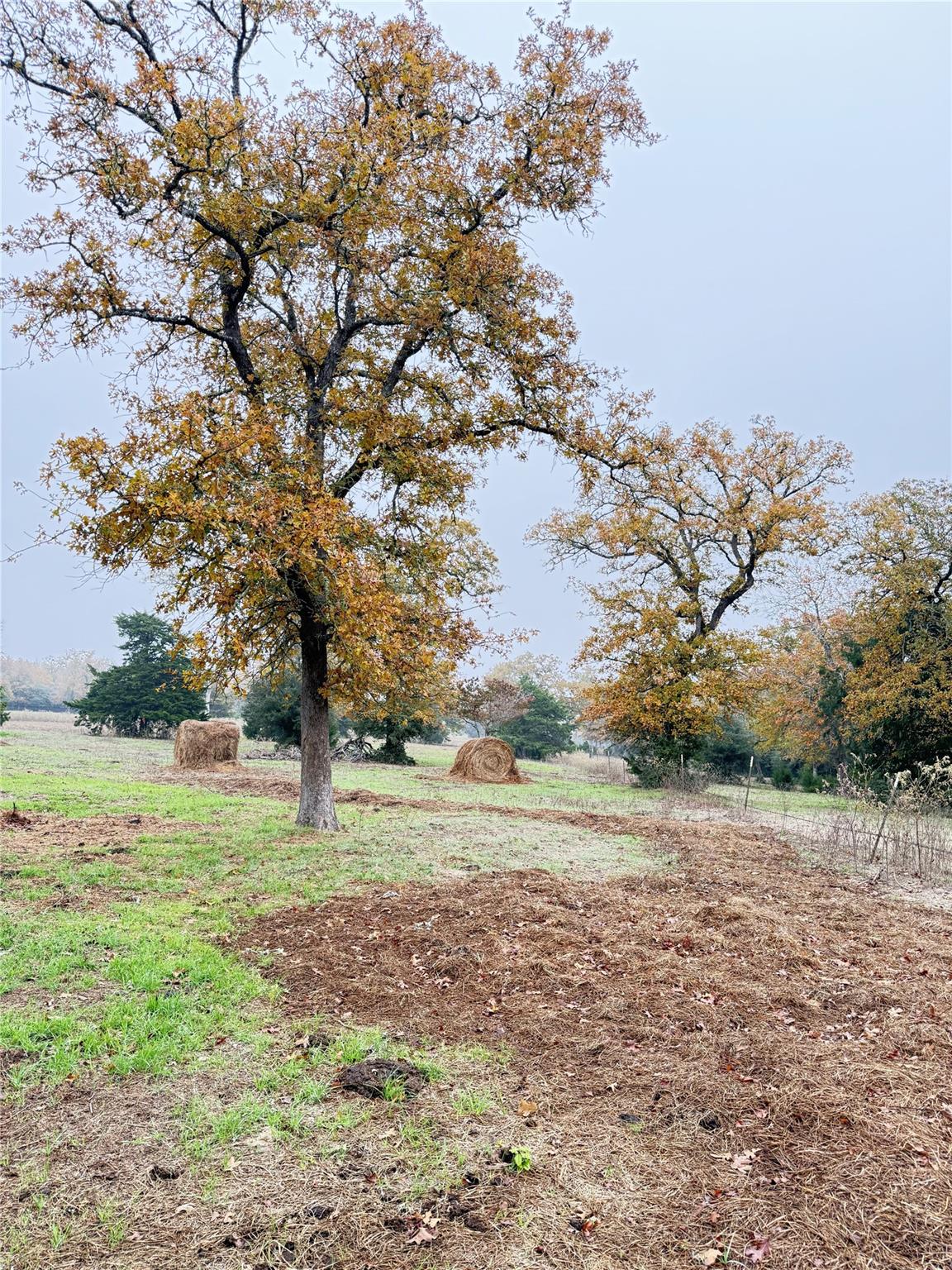 Image 9 of 33 For 11791 Silver Springs Rd