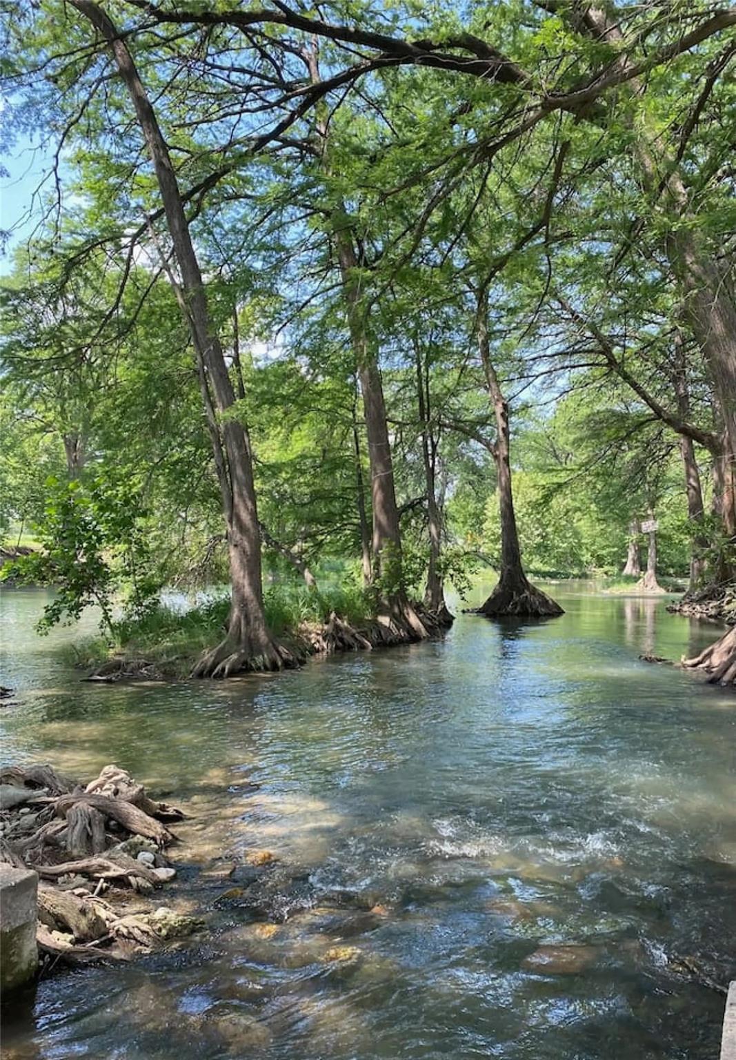 Image 13 of 21 For 730 Mather St