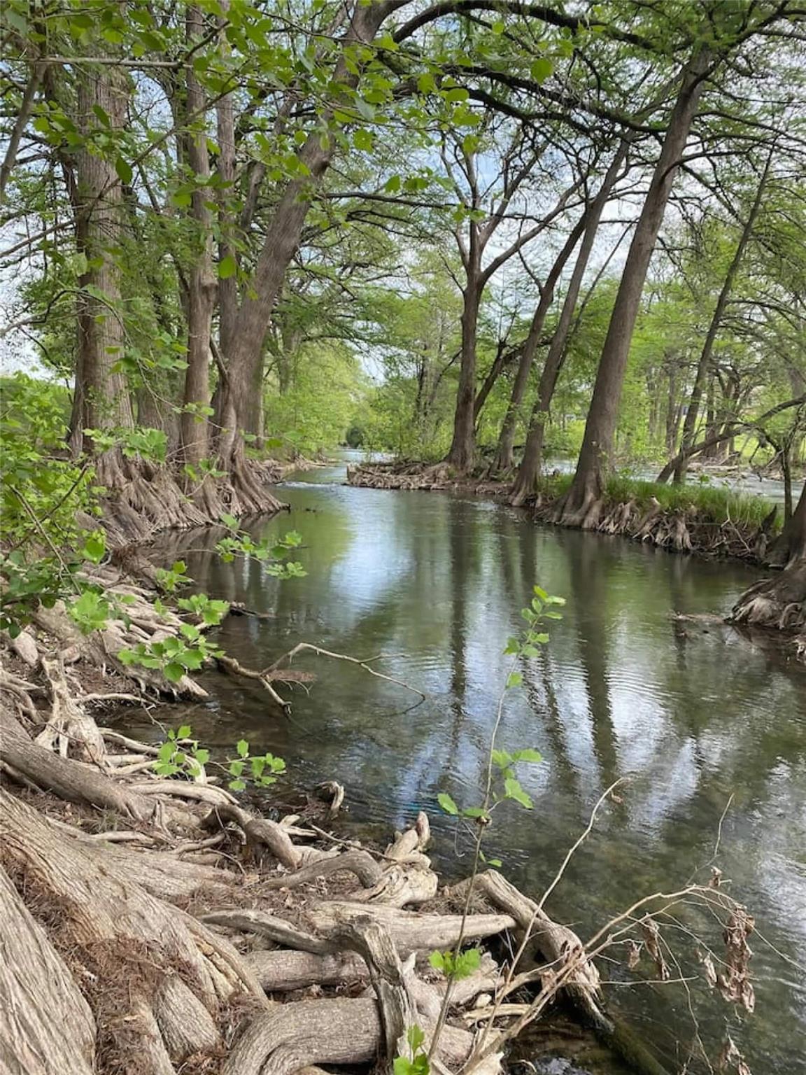 Image 20 of 21 For 730 Mather St