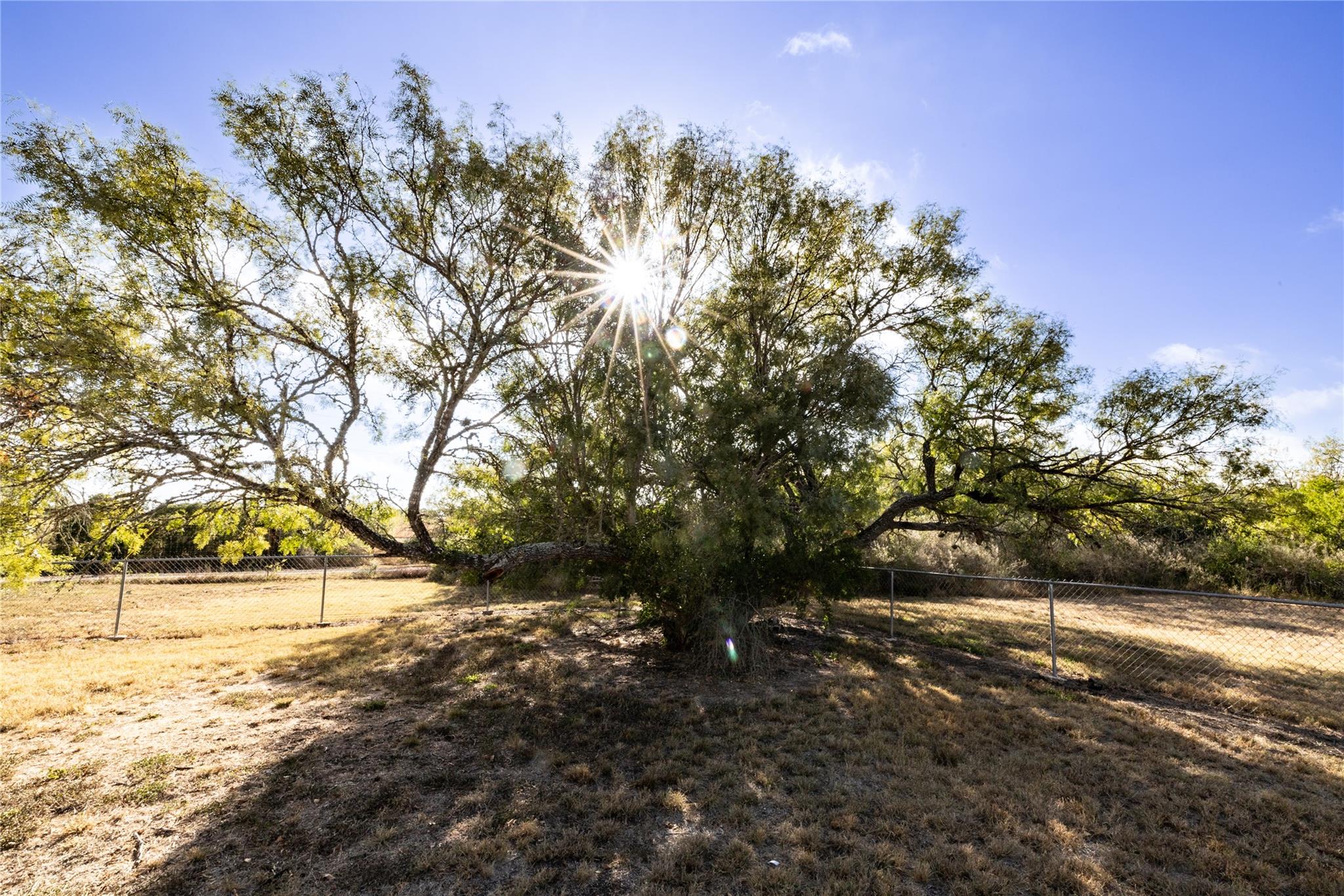 Image 14 of 18 For 6593 Fm 775  