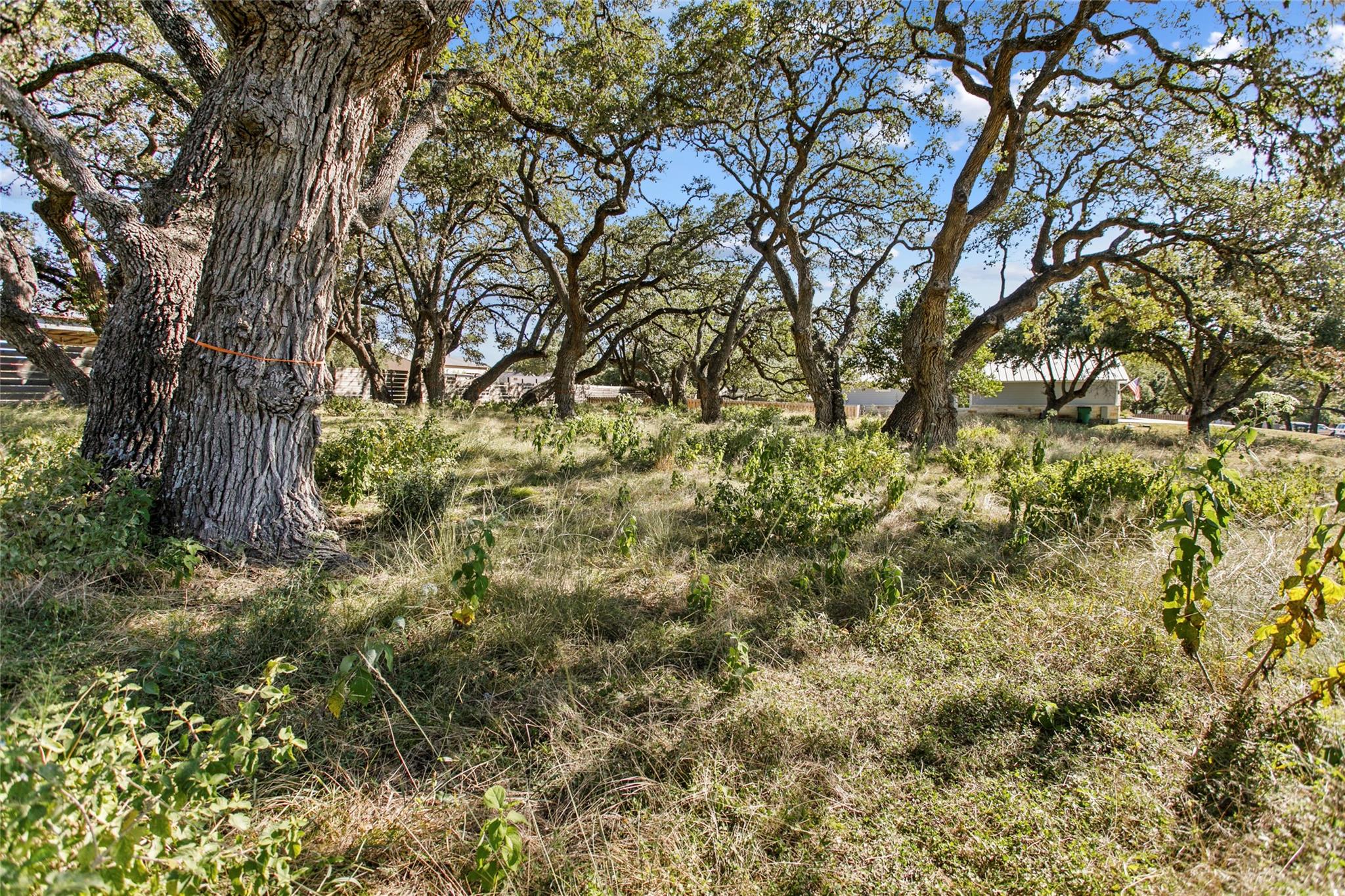 Image 7 of 14 For 1400 Greenlawn Pkwy