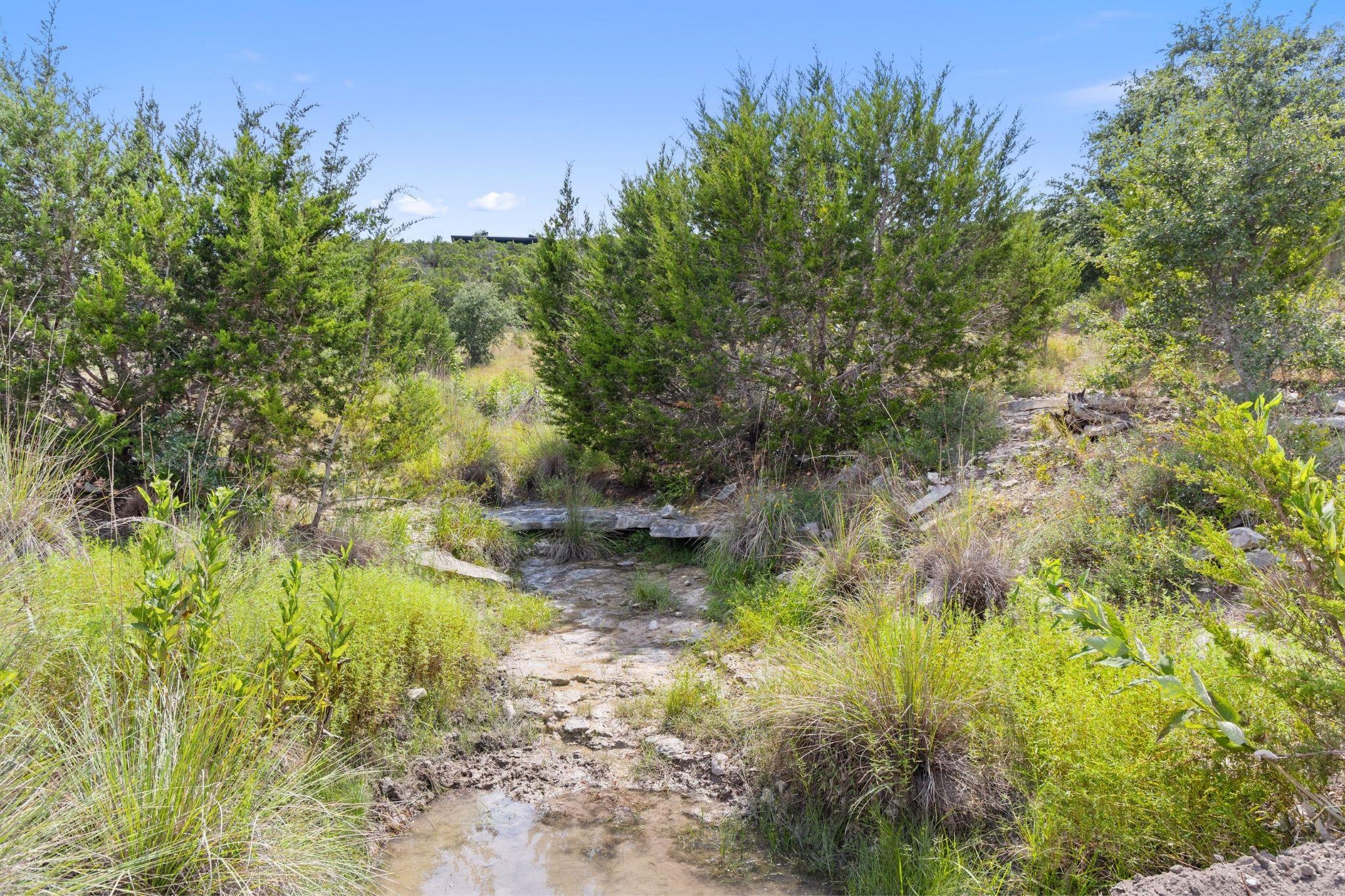 Image 37 of 40 For 11 Sacramento