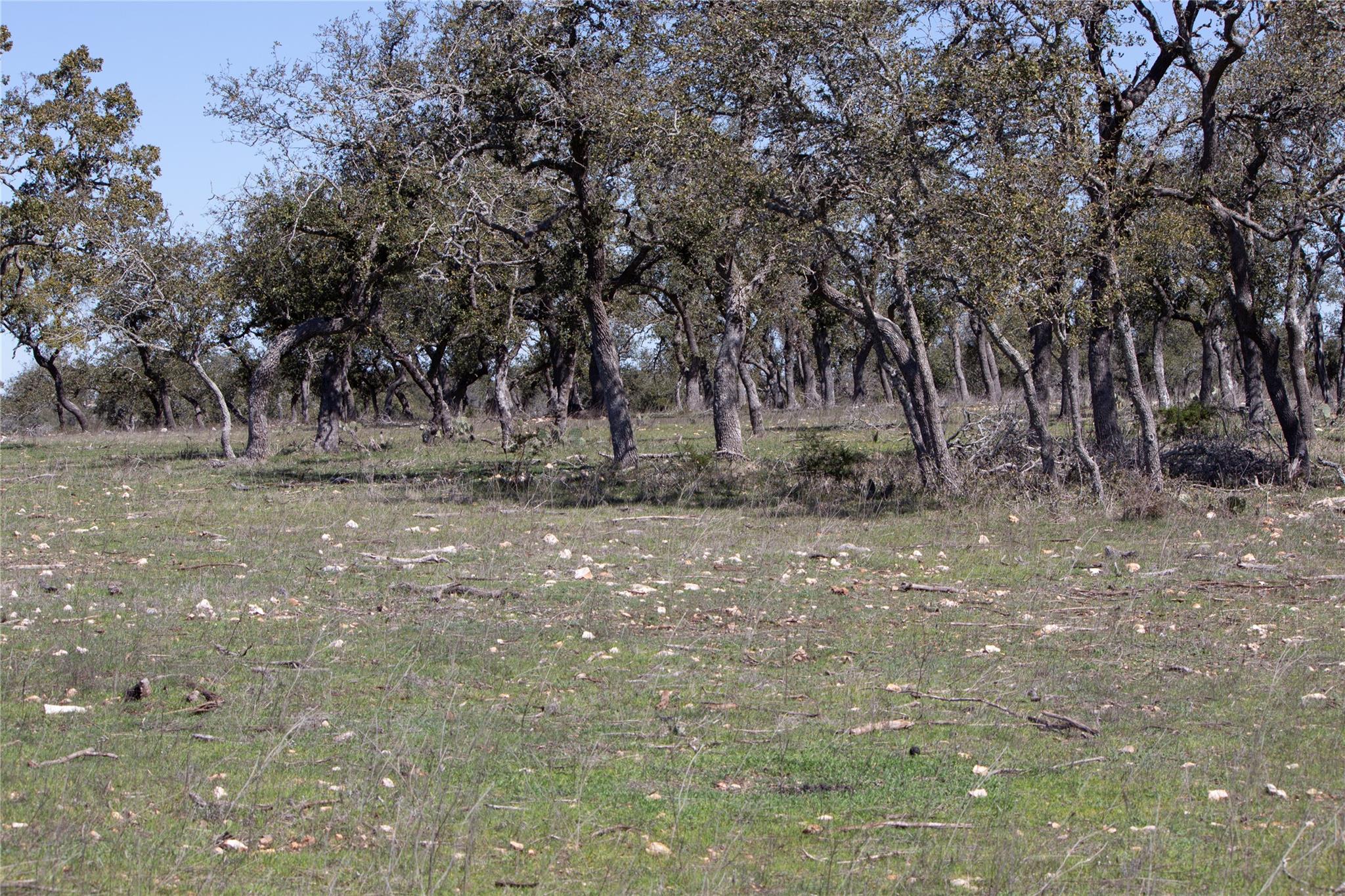 Image 13 of 20 For Tbd Starview Cv