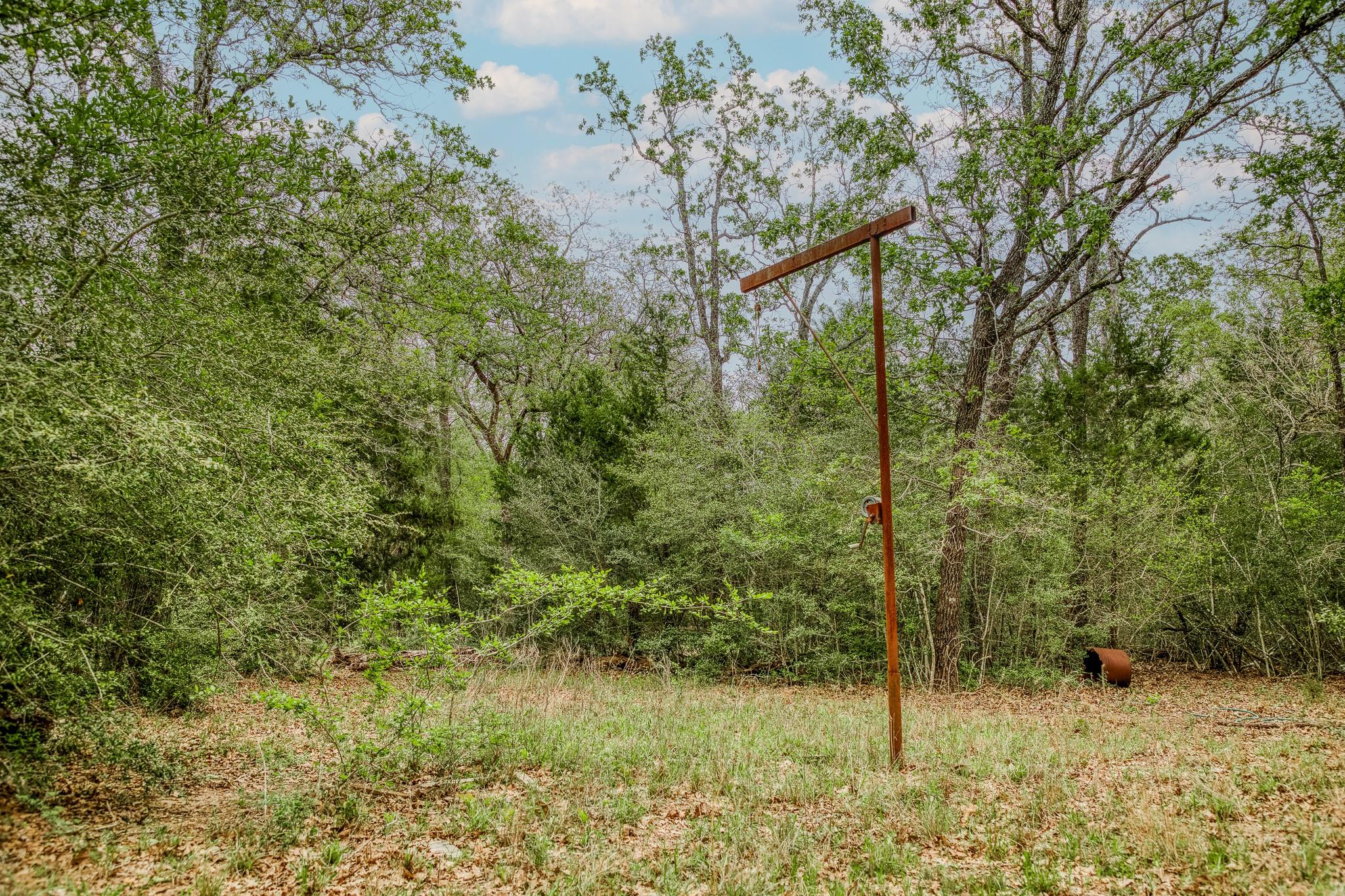 Image 11 of 39 For Tbd (349.84 Acres) County Road 125