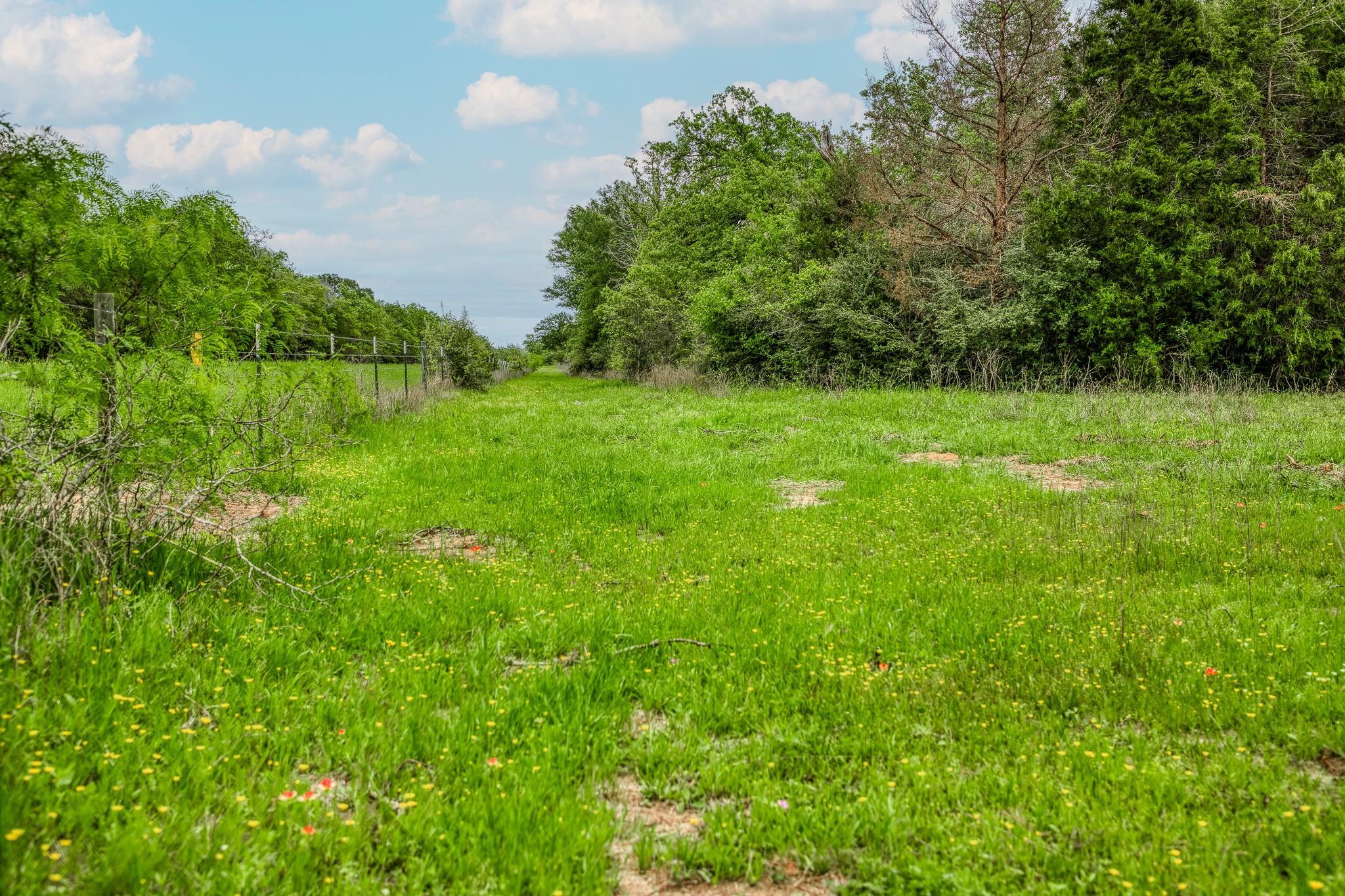 Image 17 of 39 For Tbd (349.84 Acres) County Road 125