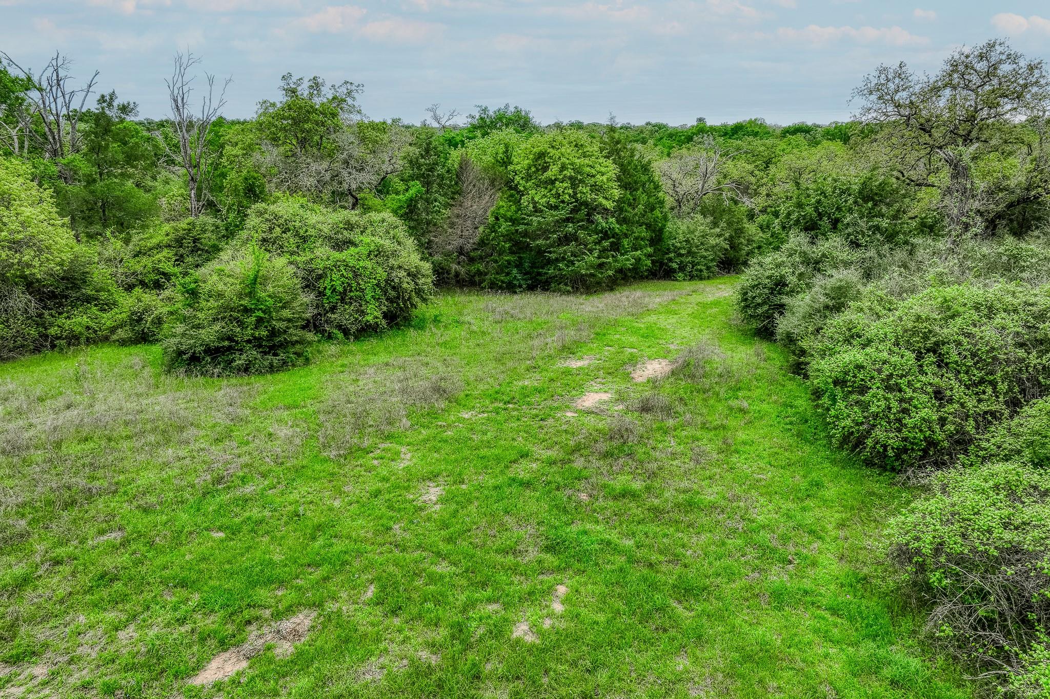 Image 21 of 39 For Tbd (349.84 Acres) County Road 125