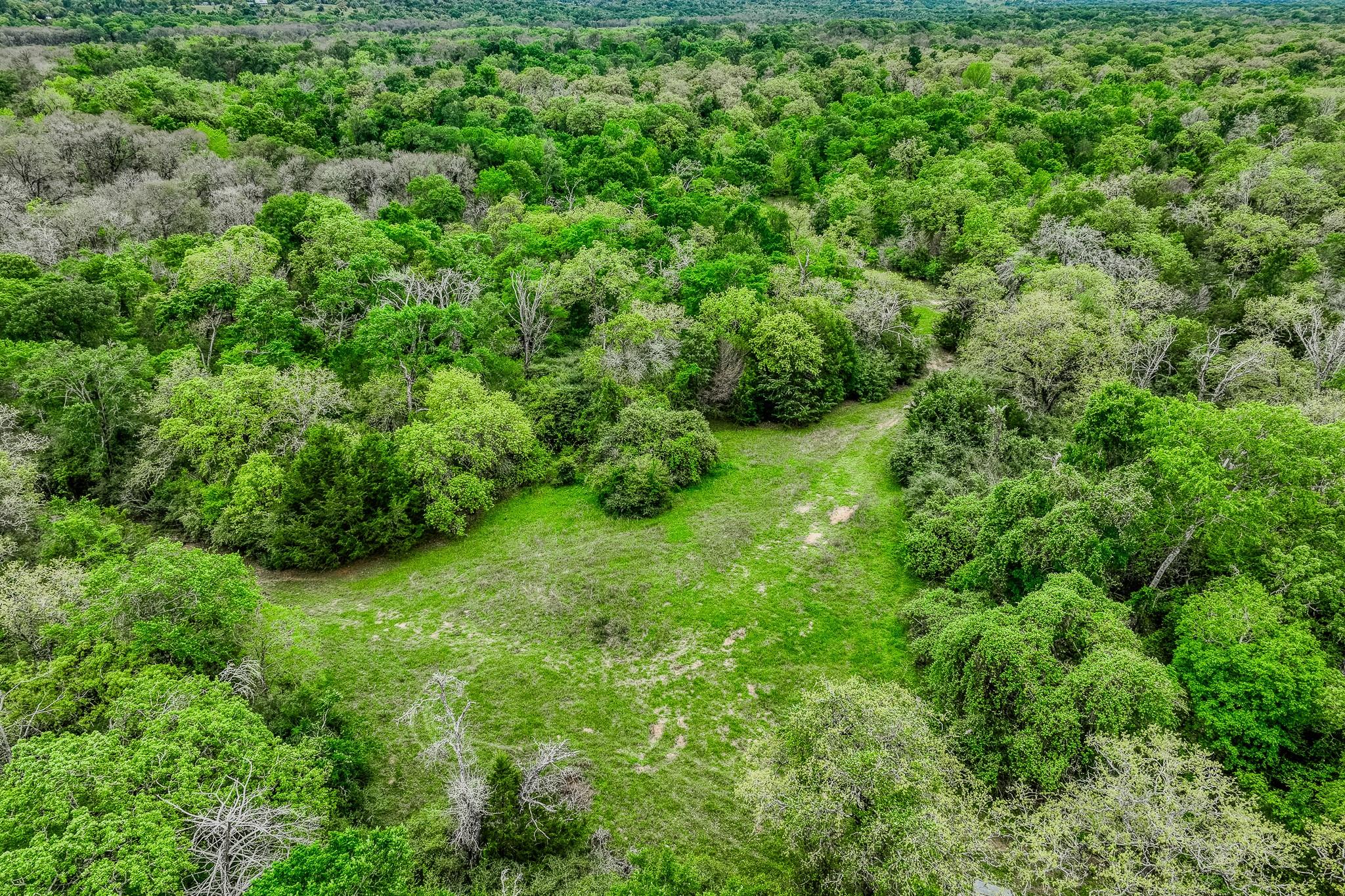 Image 22 of 39 For Tbd (349.84 Acres) County Road 125