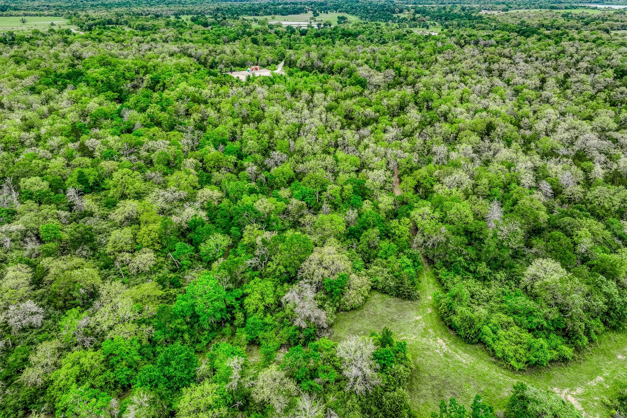 Image 25 of 39 For Tbd (349.84 Acres) County Road 125