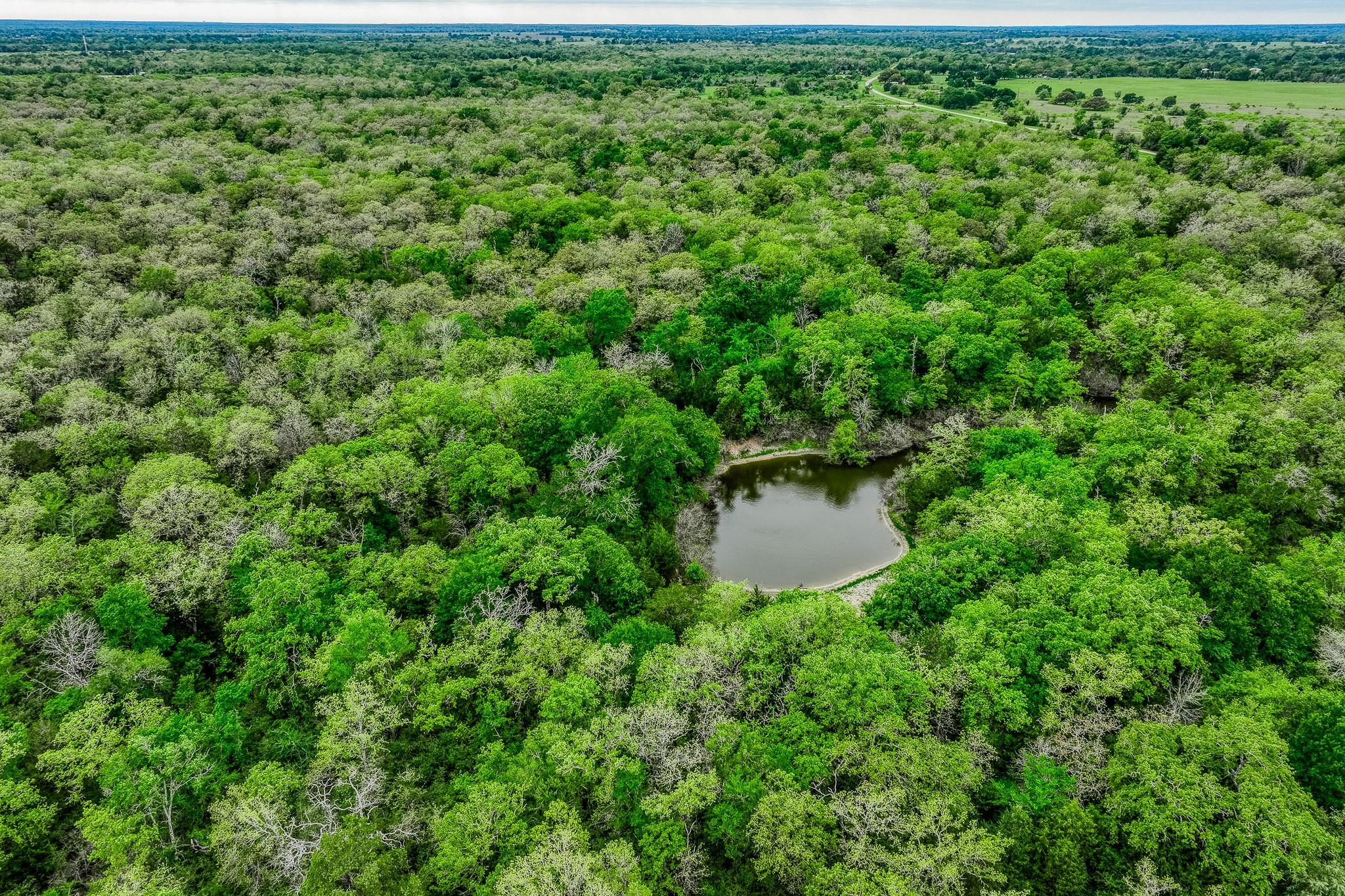 Image 28 of 39 For Tbd (349.84 Acres) County Road 125