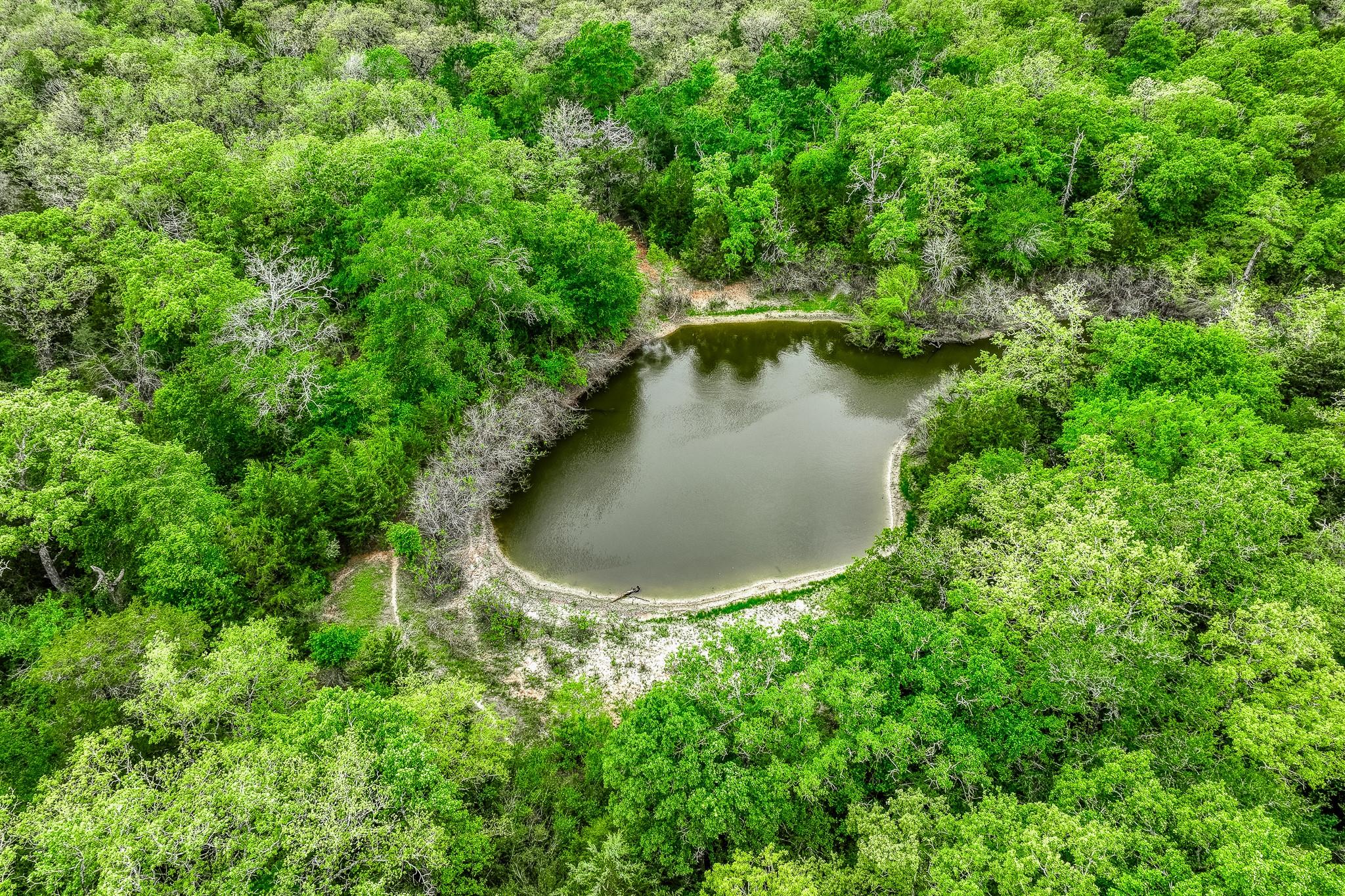 Image 29 of 39 For Tbd (349.84 Acres) County Road 125